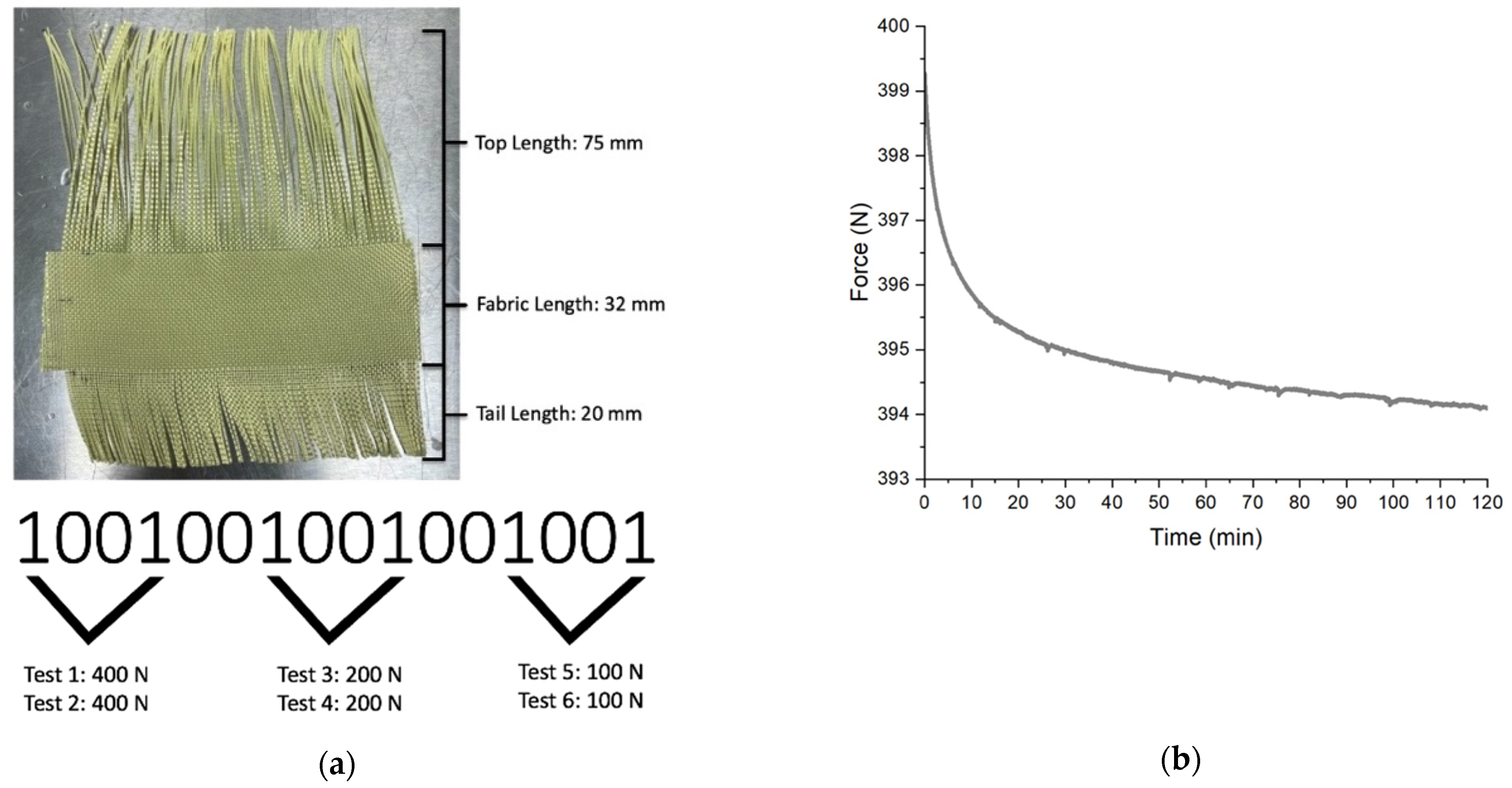 Fibers 11 00007 g005a Fibers 11 00007 g005a