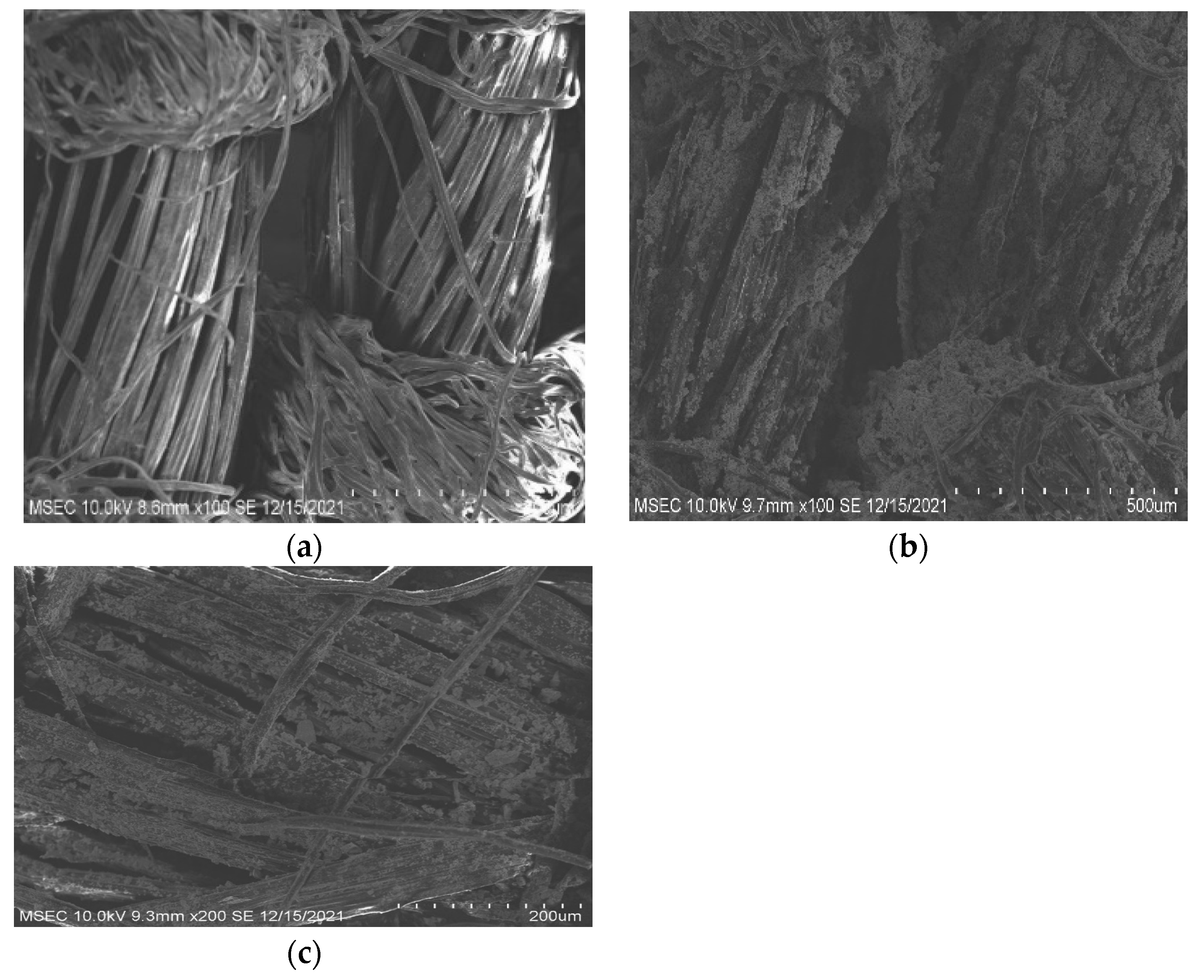 Fibers 11 00010 g005 Fibers 11 00010 g005