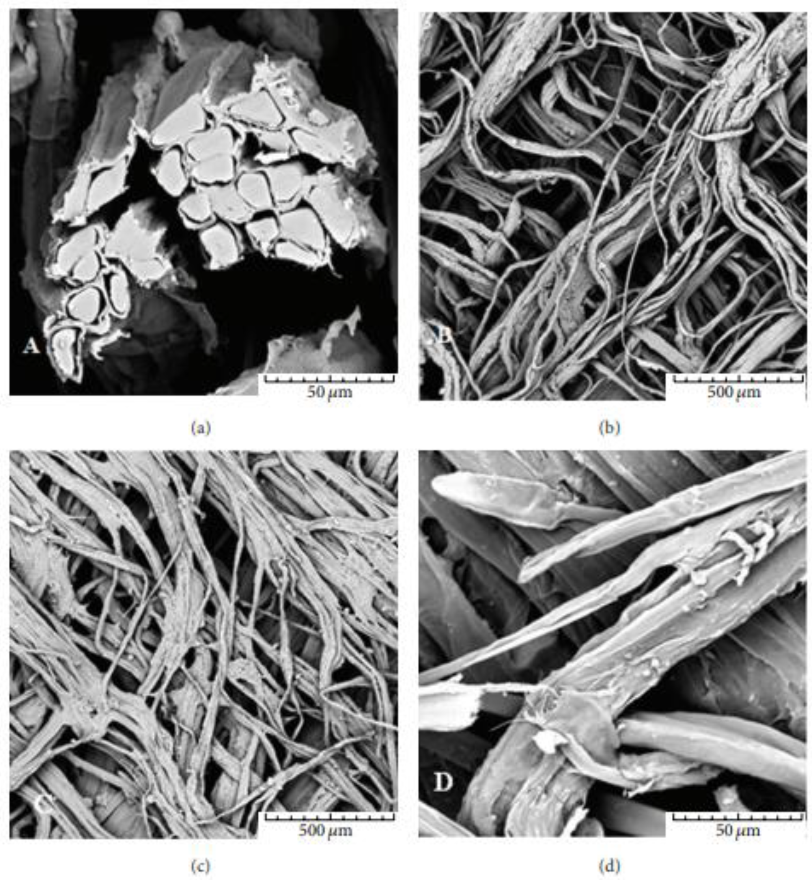 Fibers 11 00013 g002 Fibers 11 00013 g002