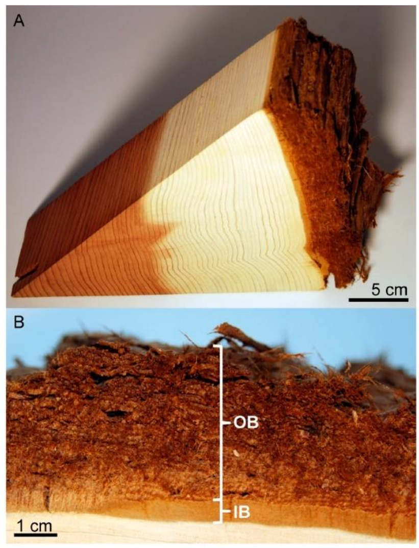 Fibers 11 00013 g003 Fibers 11 00013 g003