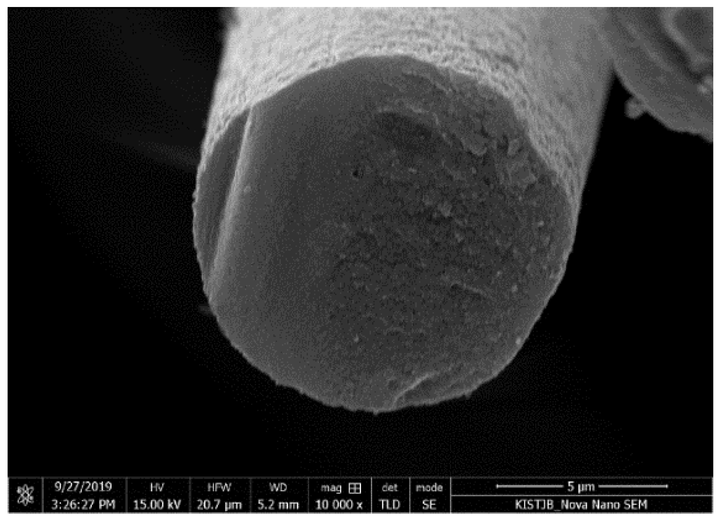 Fibers 11 00014 g0a8 Fibers 11 00014 g0a8