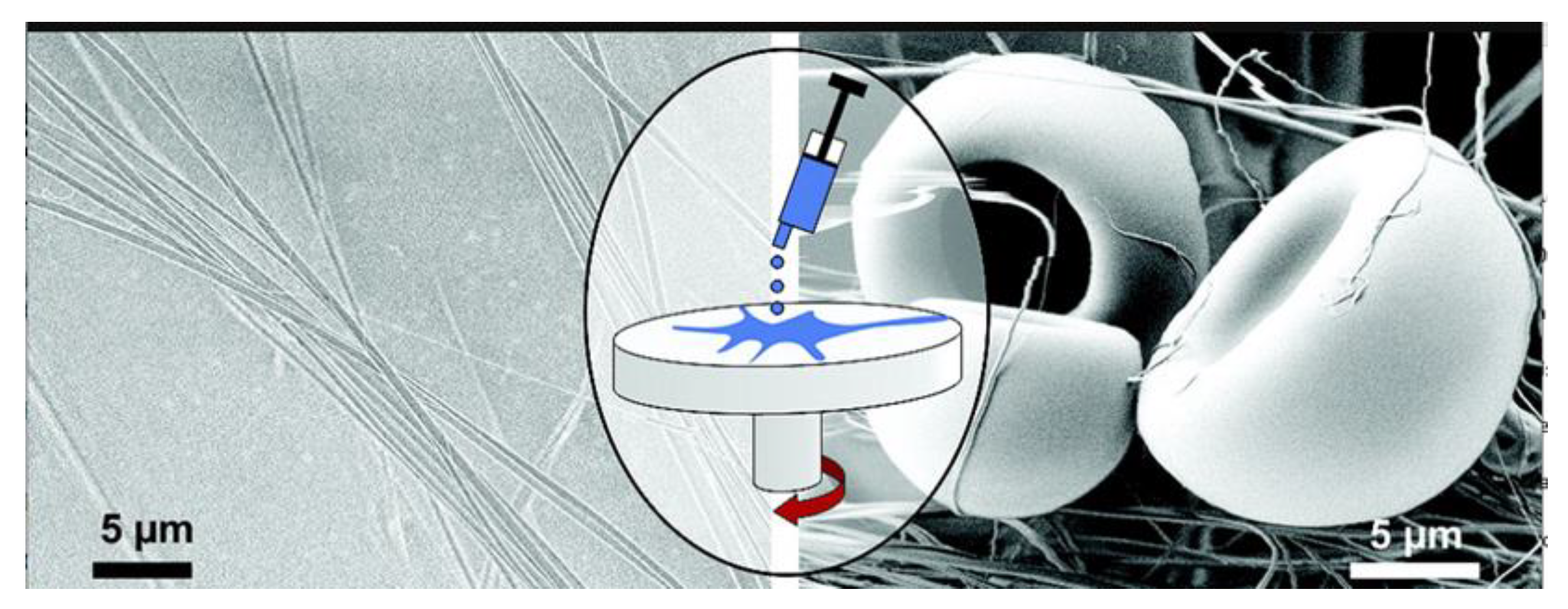 Fibers 11 00021 g015 Fibers 11 00021 g015