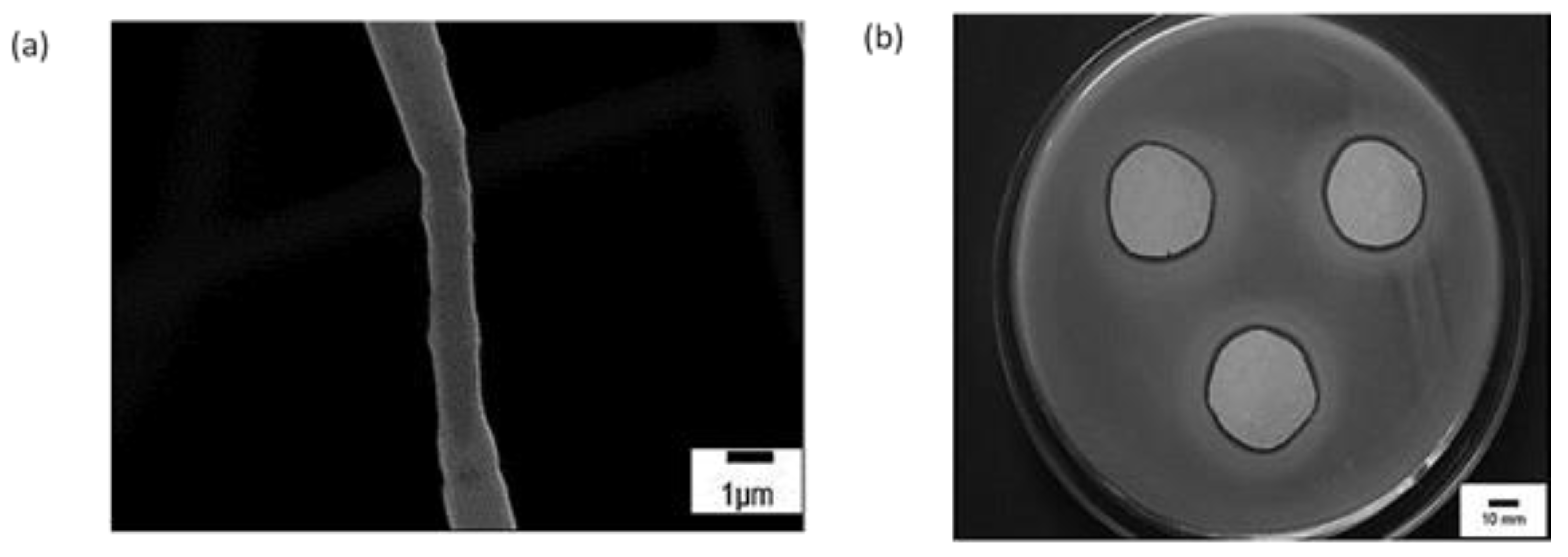 Fibers 11 00021 g022 Fibers 11 00021 g022