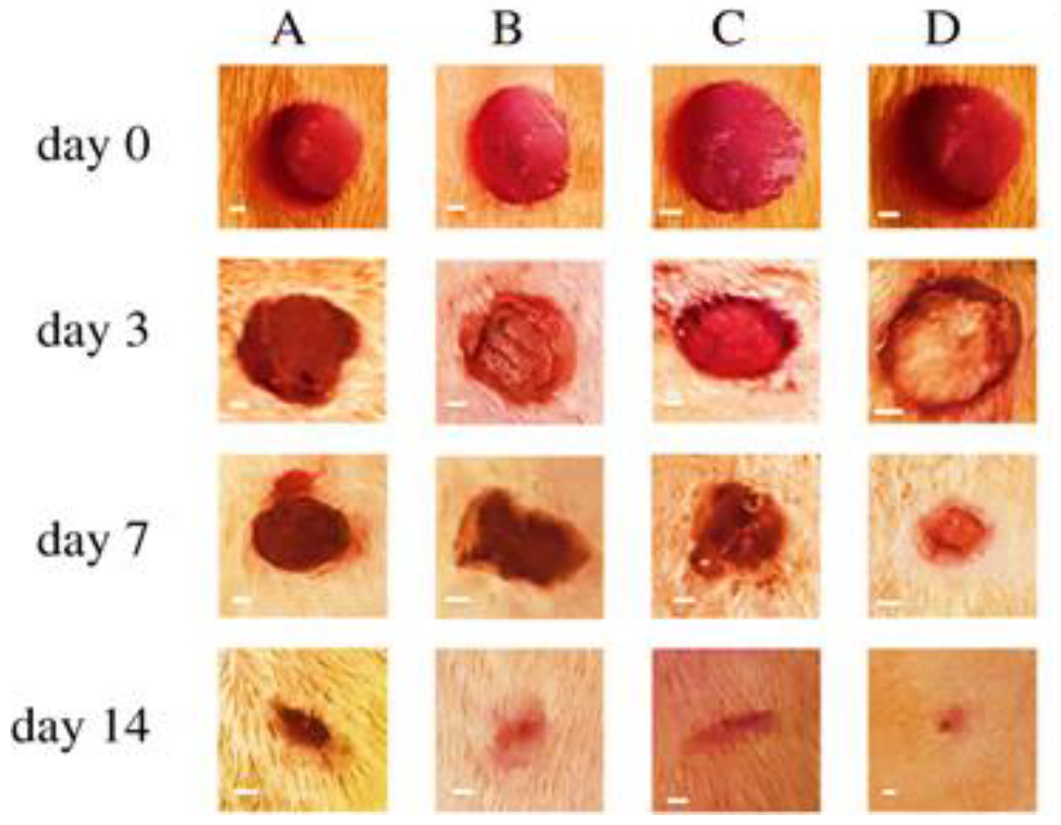 Fibers 11 00021 g026 Fibers 11 00021 g026