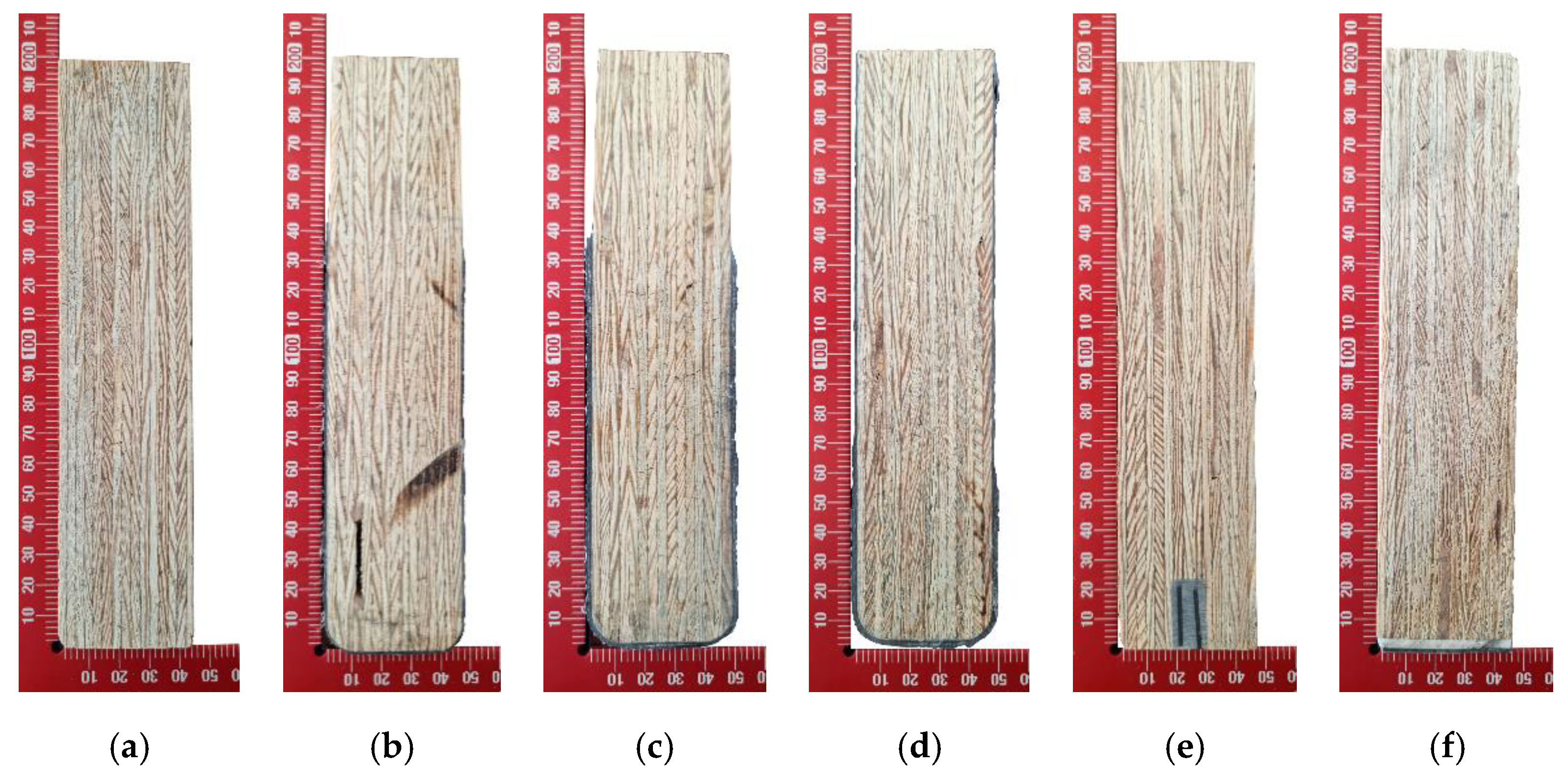 Fibers 11 00024 g002