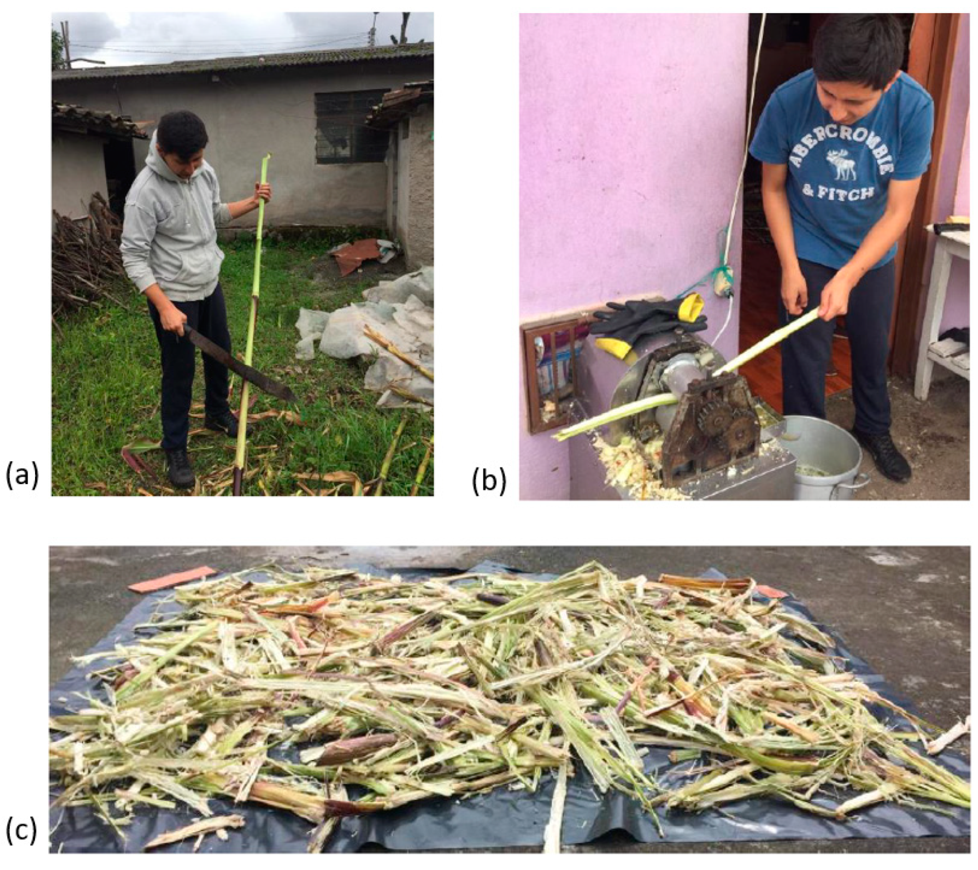 Fibers 11 00026 g002