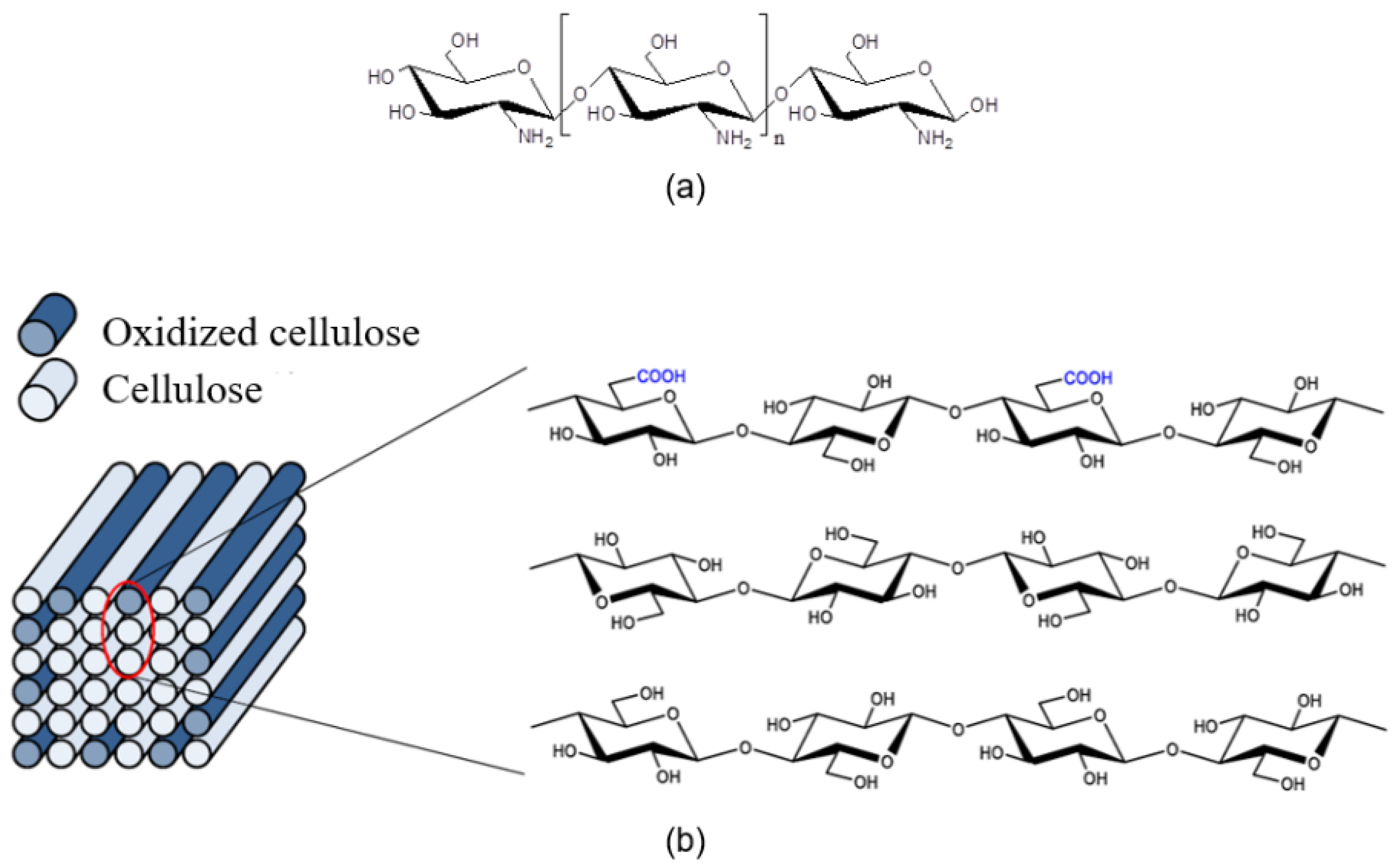 Fibers 11 00032 g002