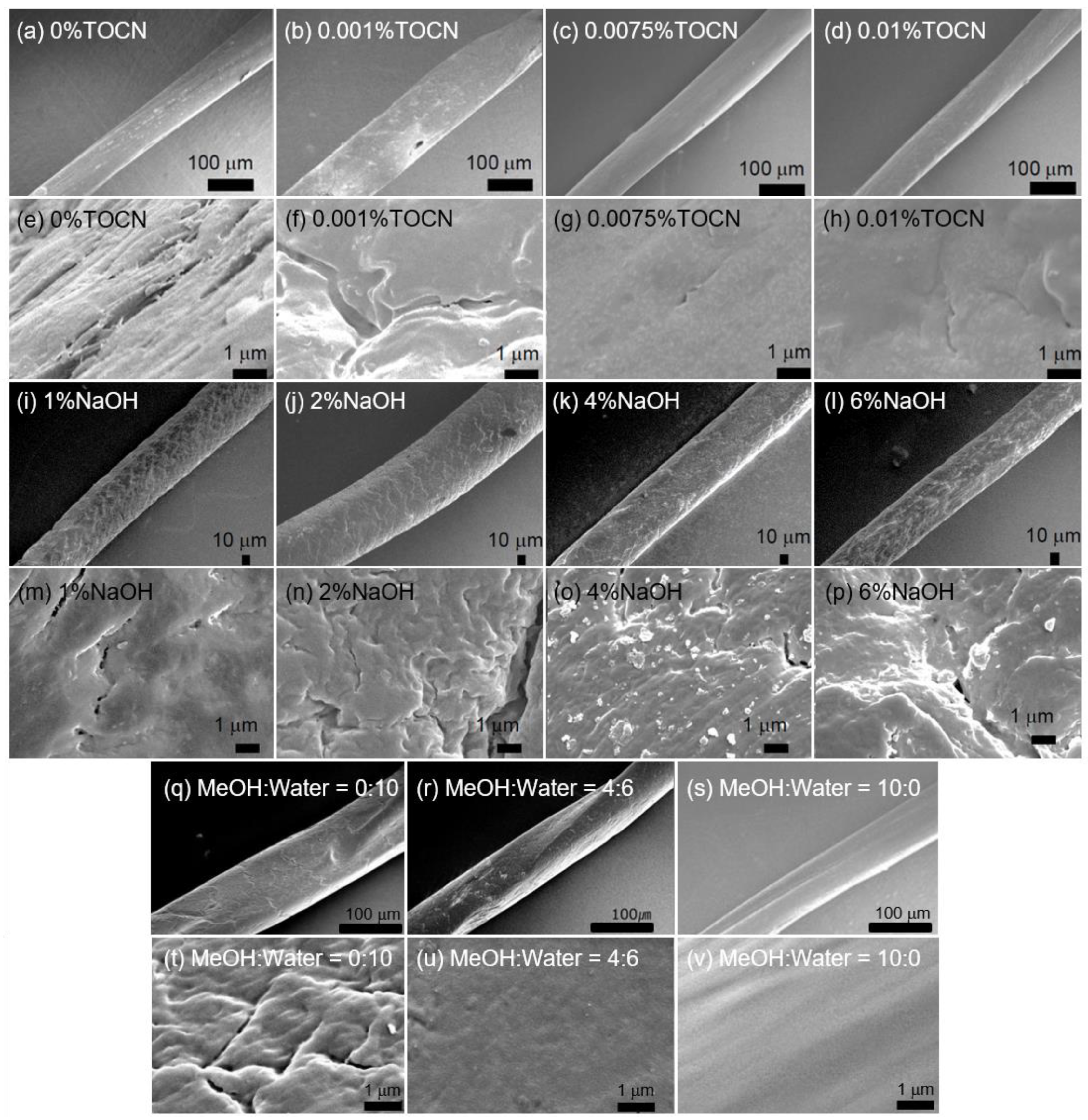 Fibers 11 00032 g004