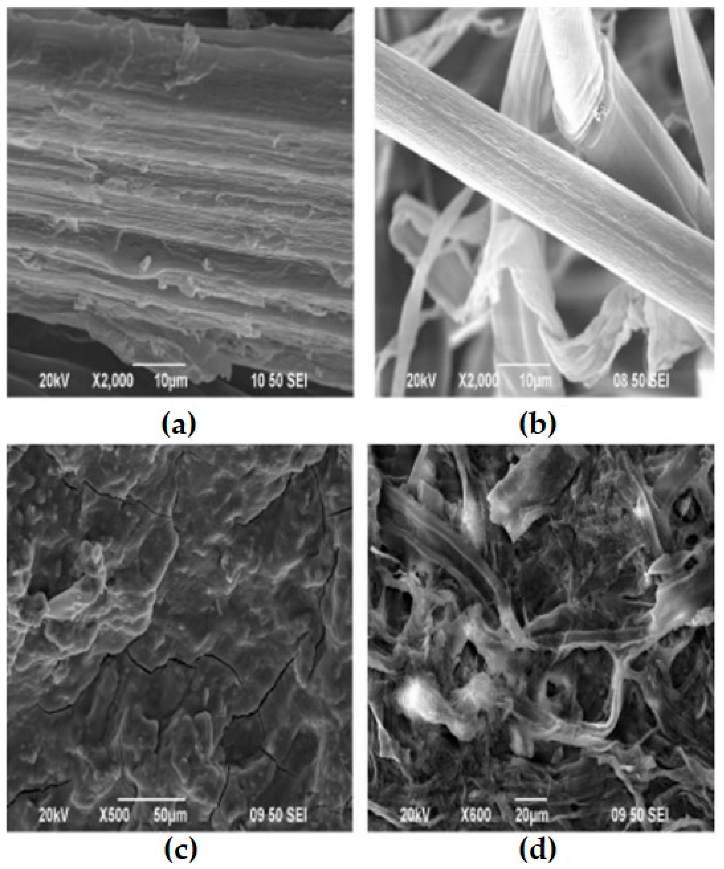 Fibers 11 00043 g003 Fibers 11 00043 g003