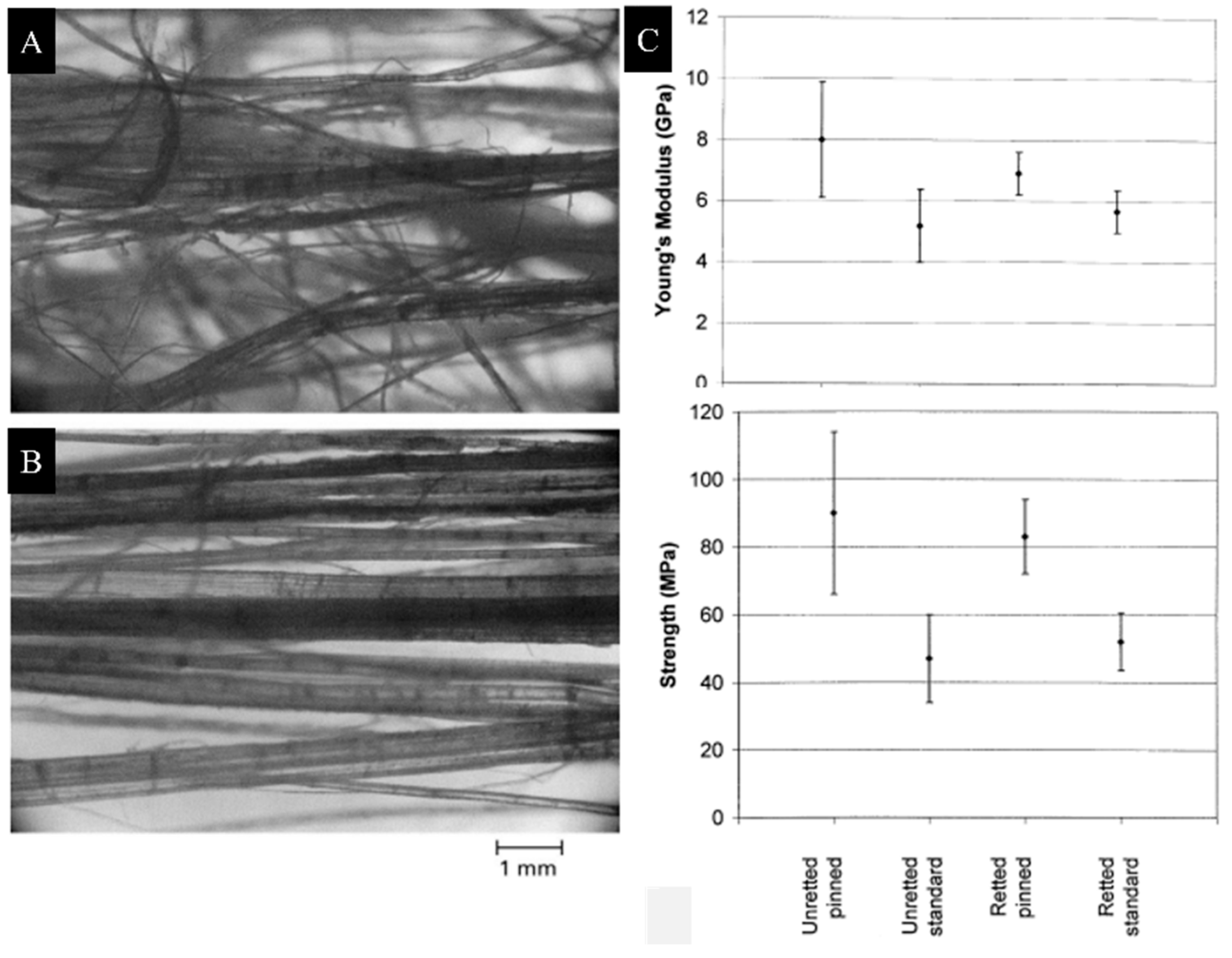 Fibers 11 00043 g004 Fibers 11 00043 g004