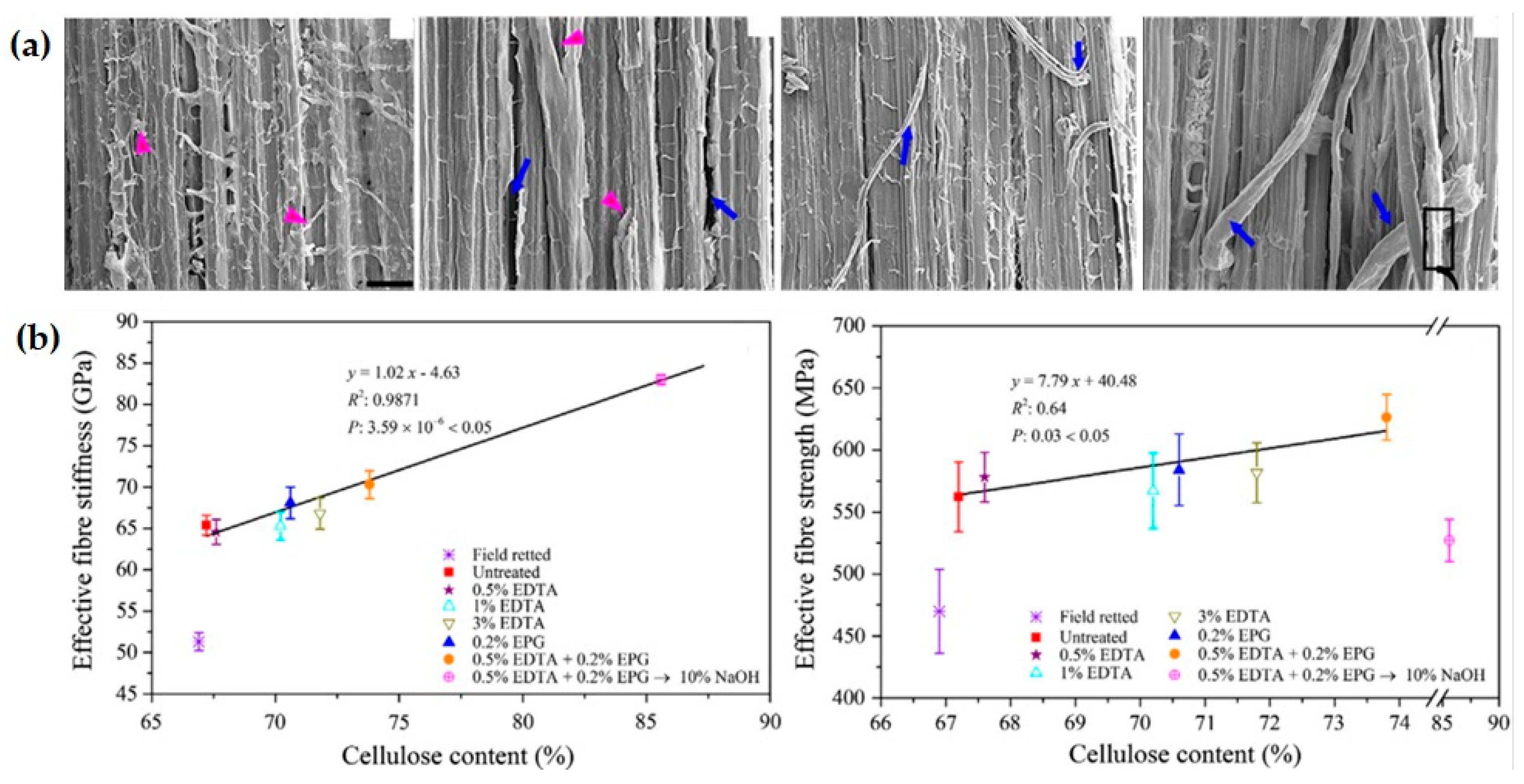 Fibers 11 00043 g006 Fibers 11 00043 g006