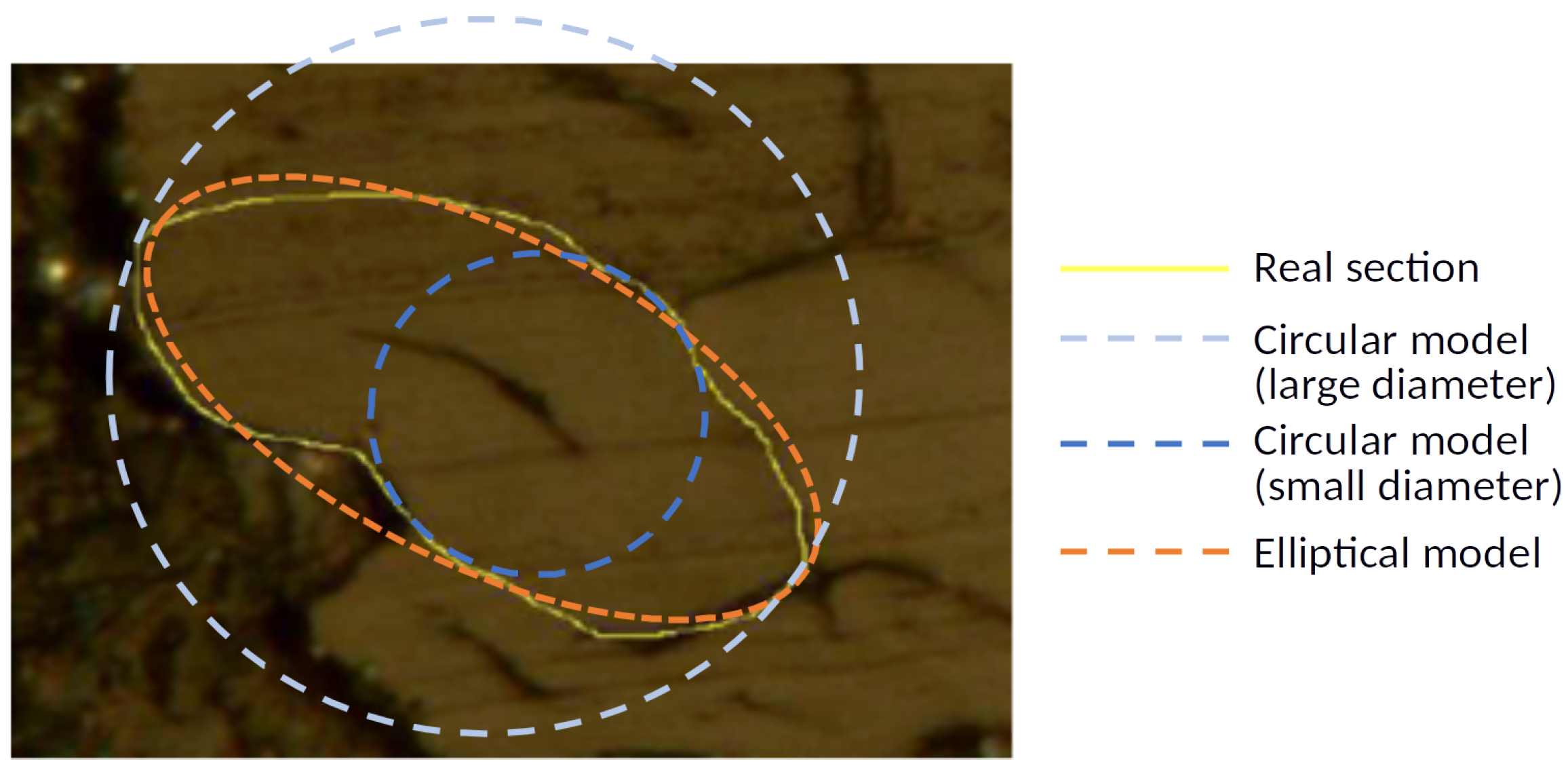 Fibers 11 00045 g002 Fibers 11 00045 g002