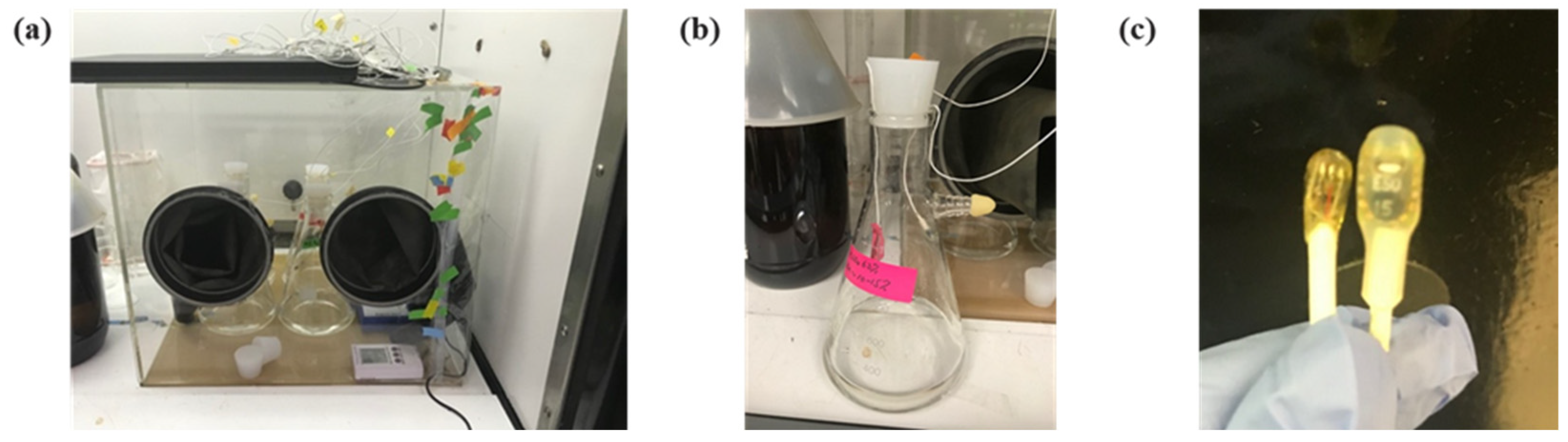 Fibers 11 00047 g002 Fibers 11 00047 g002
