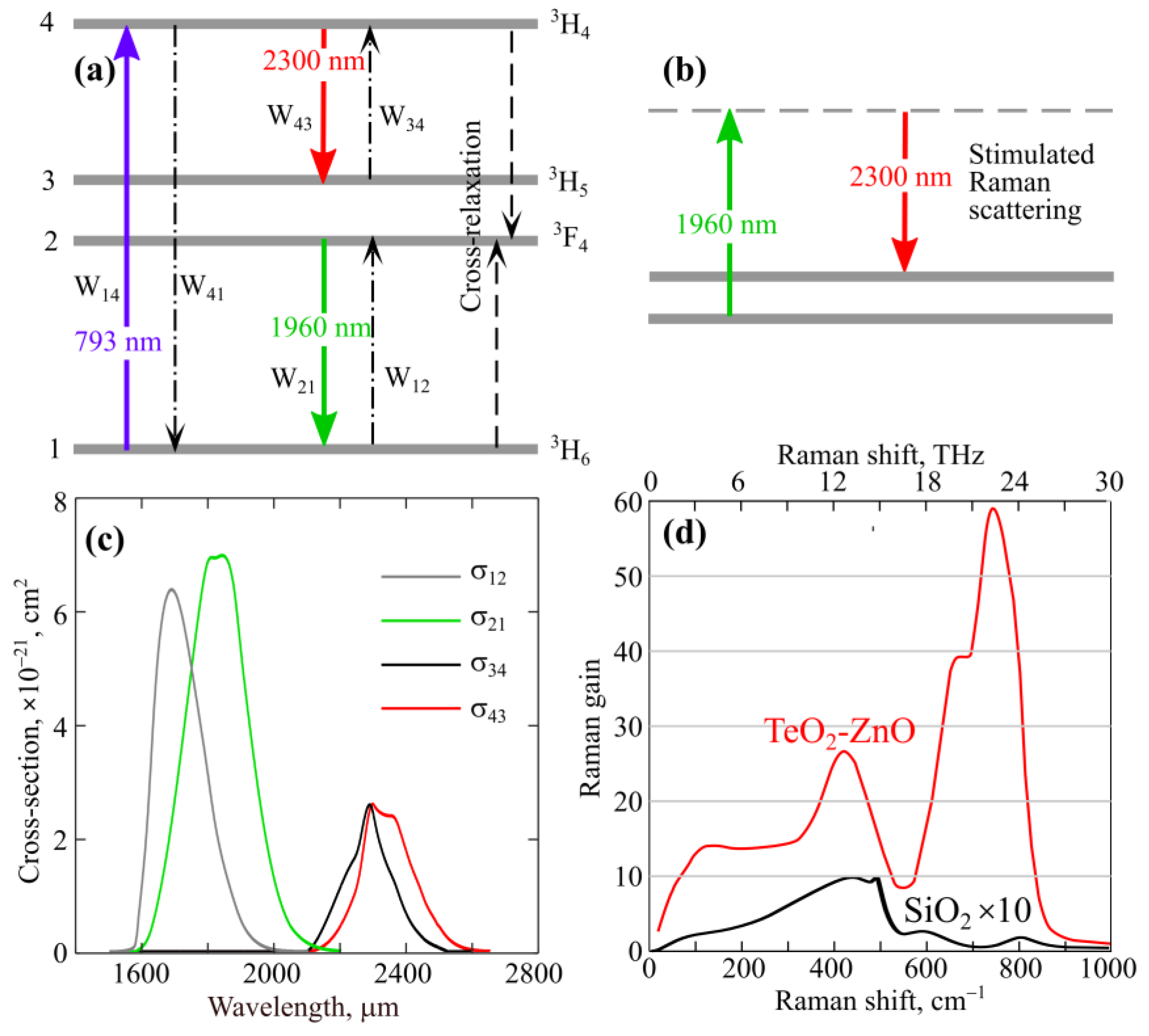 Fibers 11 00057 g001 Fibers 11 00057 g001