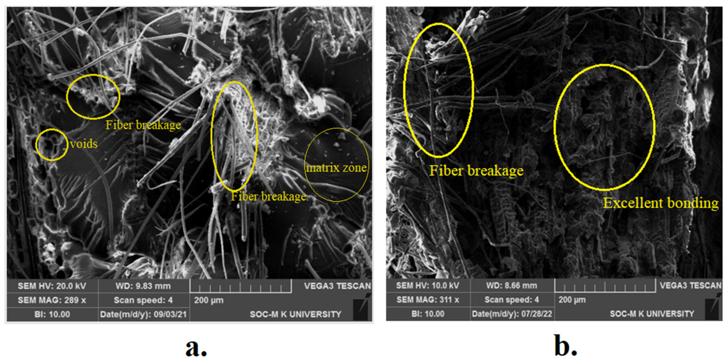 Fibers 11 00063 g006 Fibers 11 00063 g006