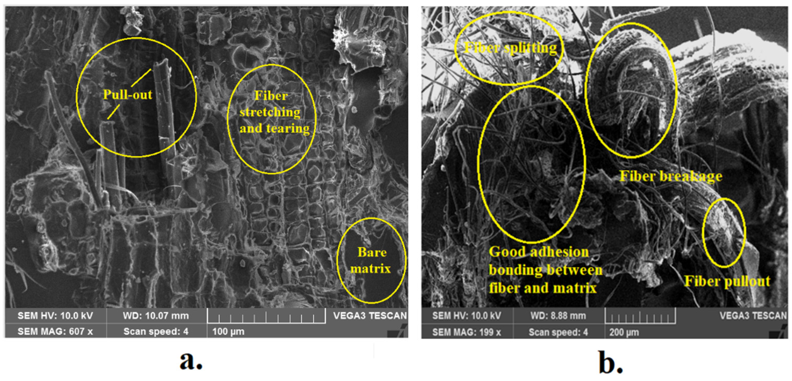 Fibers 11 00063 g007 Fibers 11 00063 g007