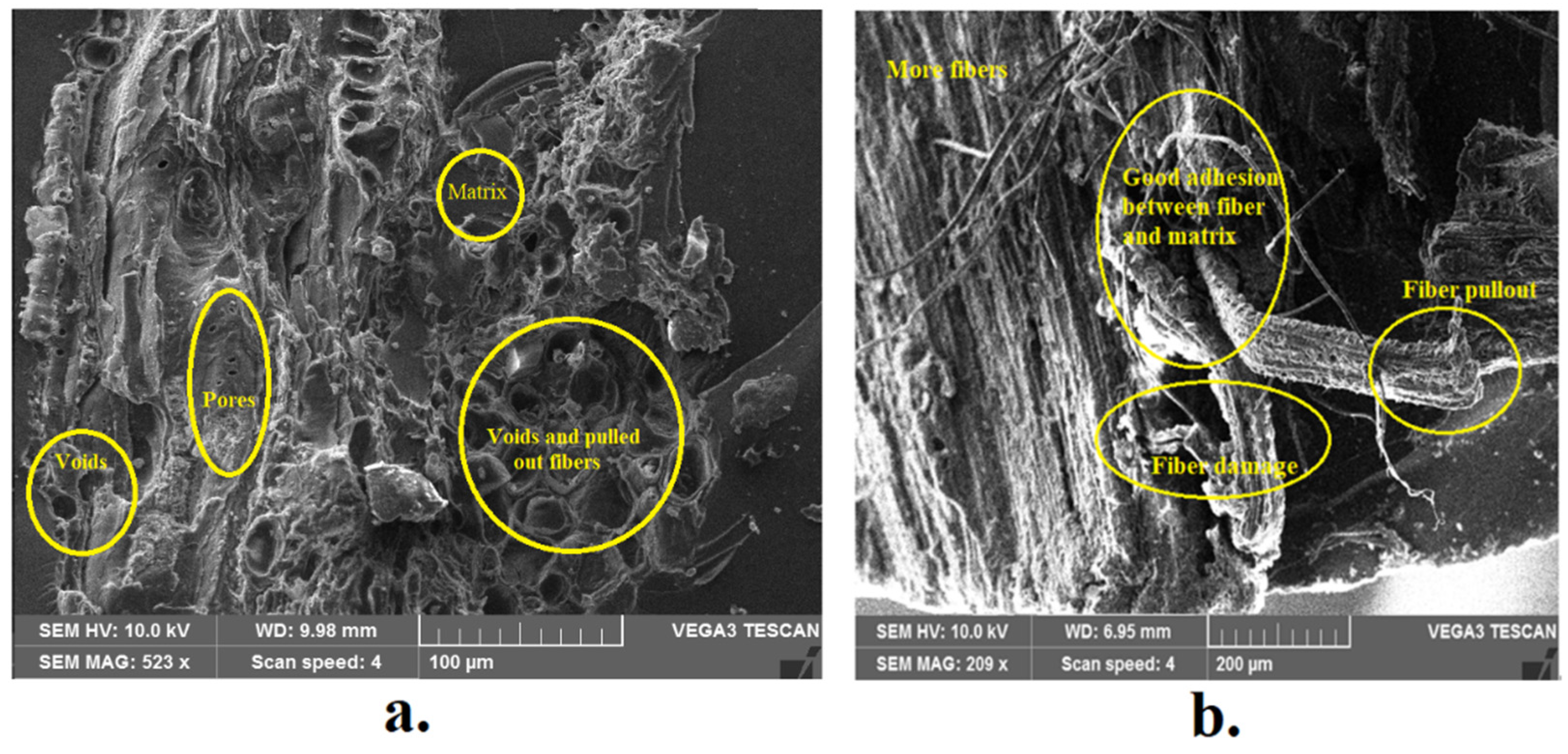 Fibers 11 00063 g008 Fibers 11 00063 g008