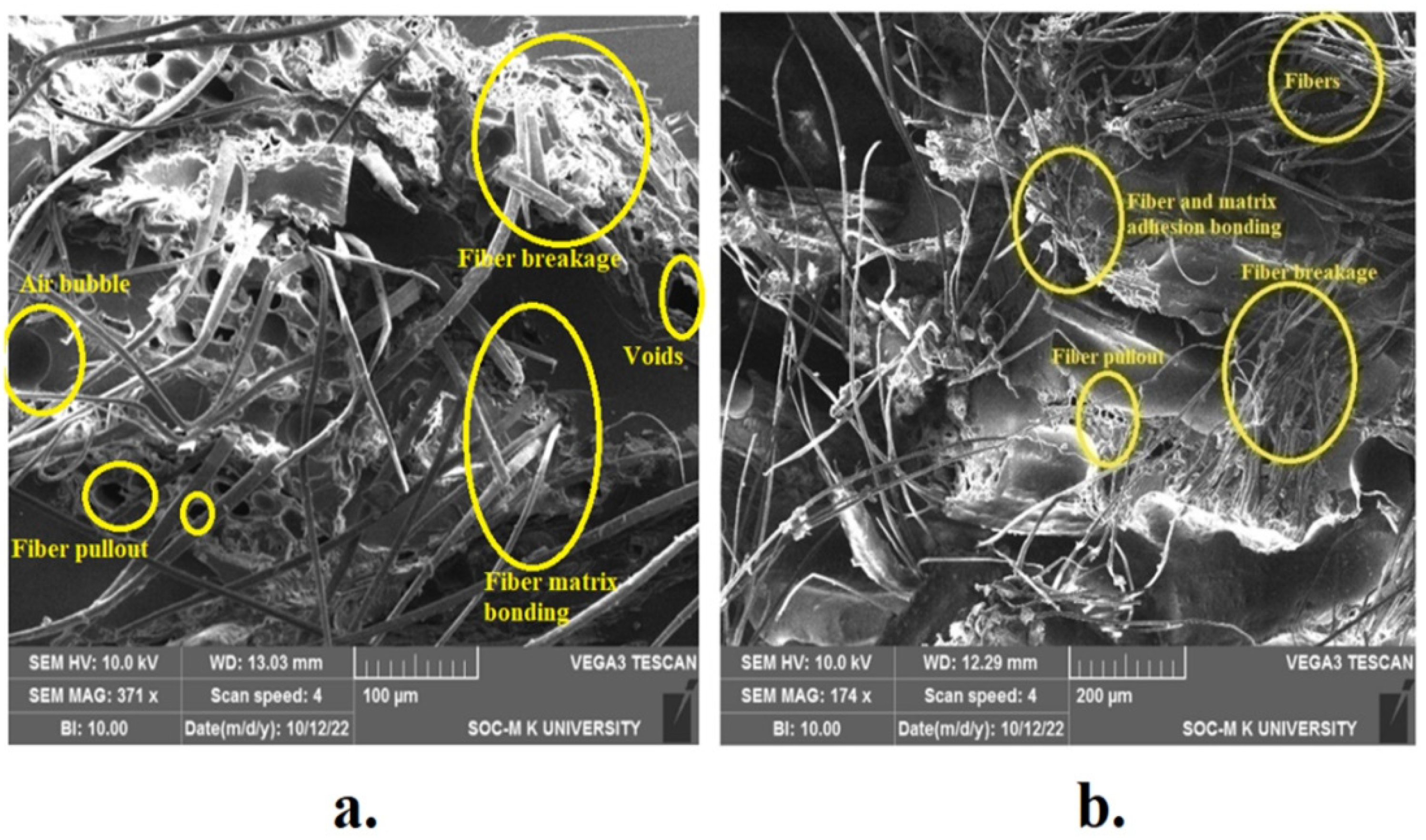 Fibers 11 00063 g010 Fibers 11 00063 g010