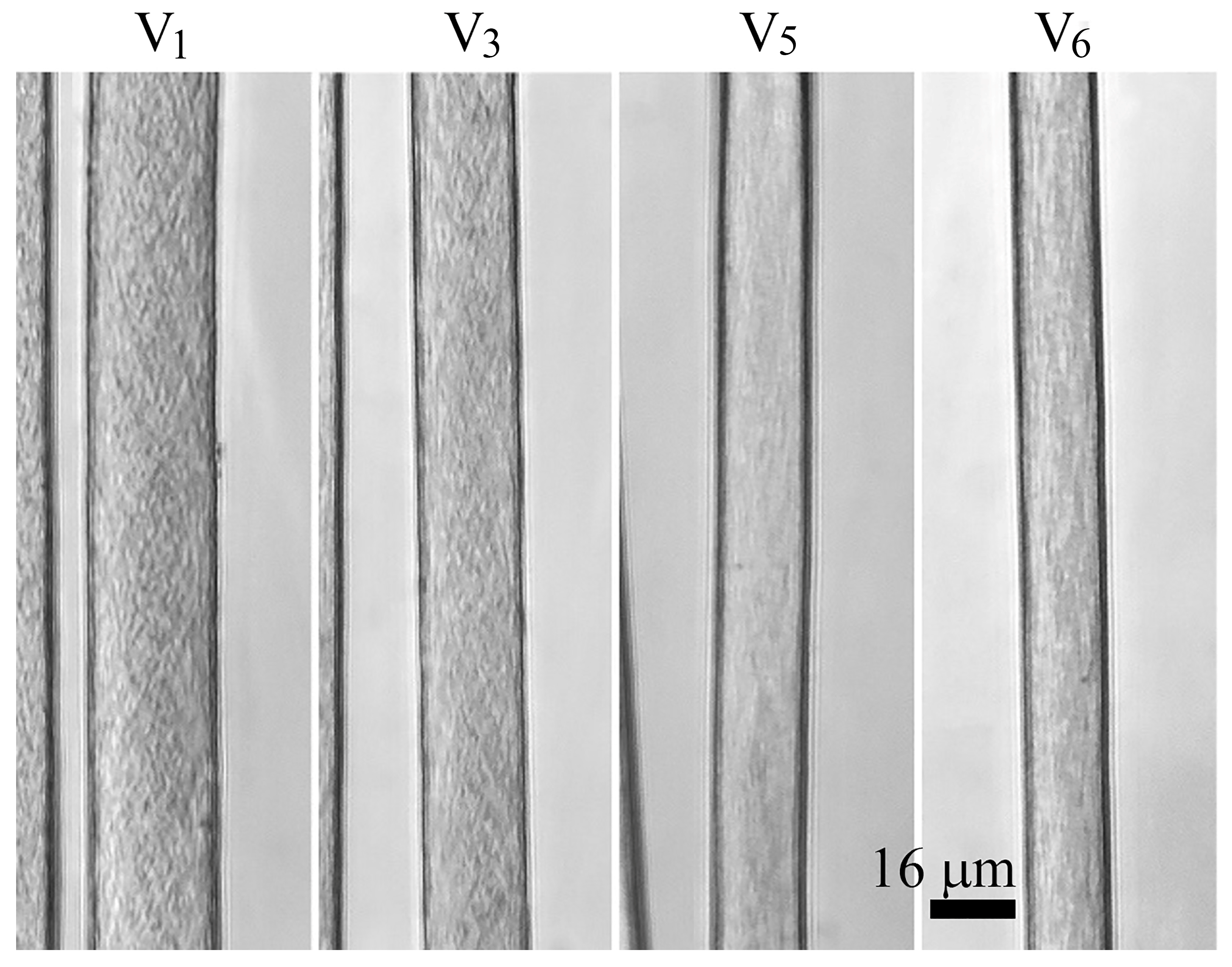 Fibers 11 00065 g008 Fibers 11 00065 g008