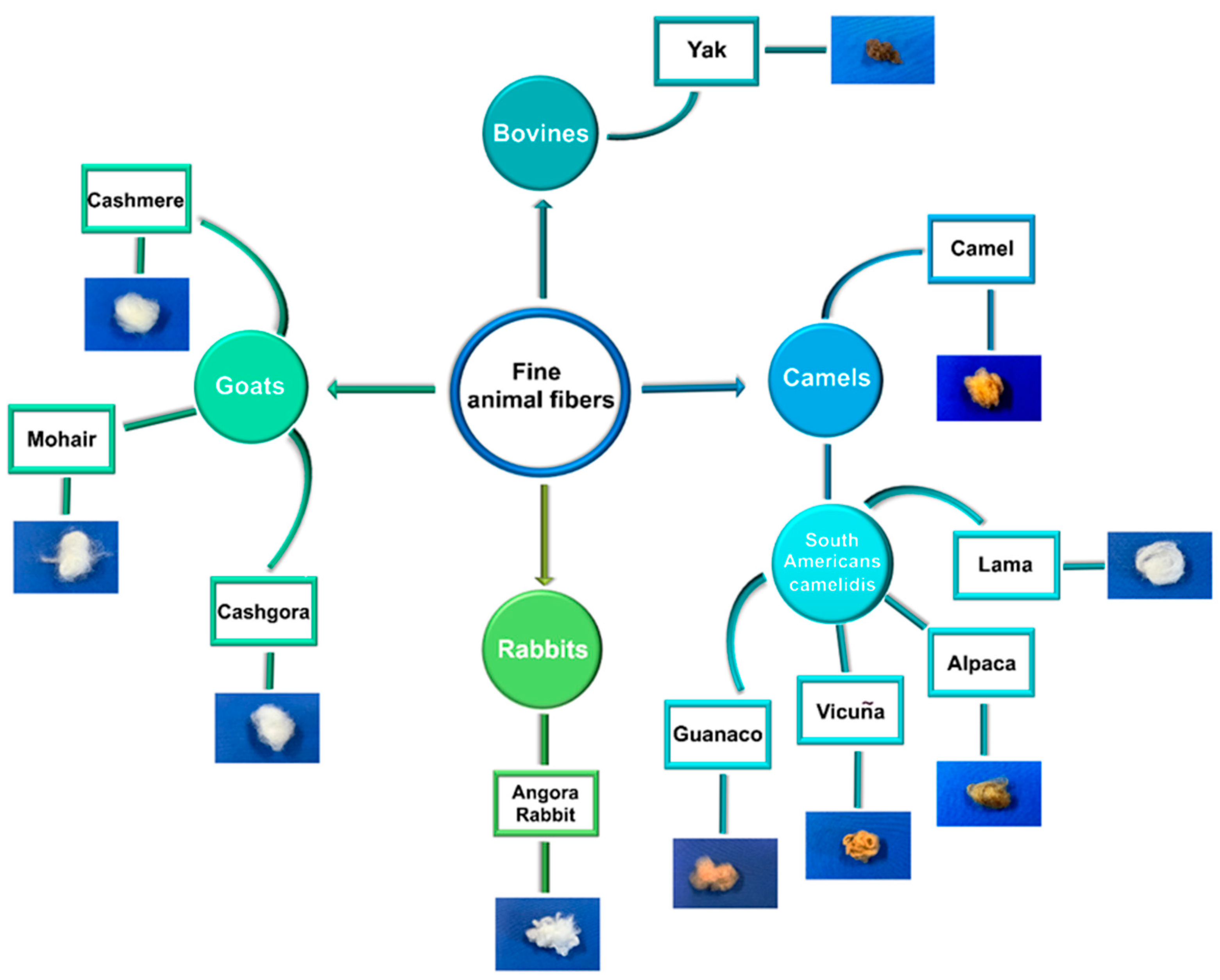 Fibers 11 00067 g001 Fibers 11 00067 g001