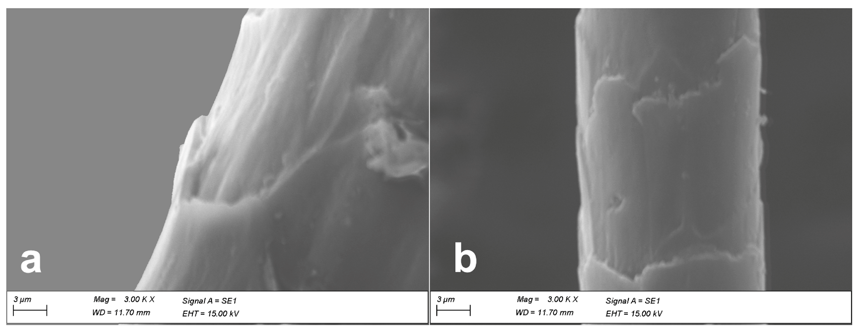 Fibers 11 00067 g003 Fibers 11 00067 g003