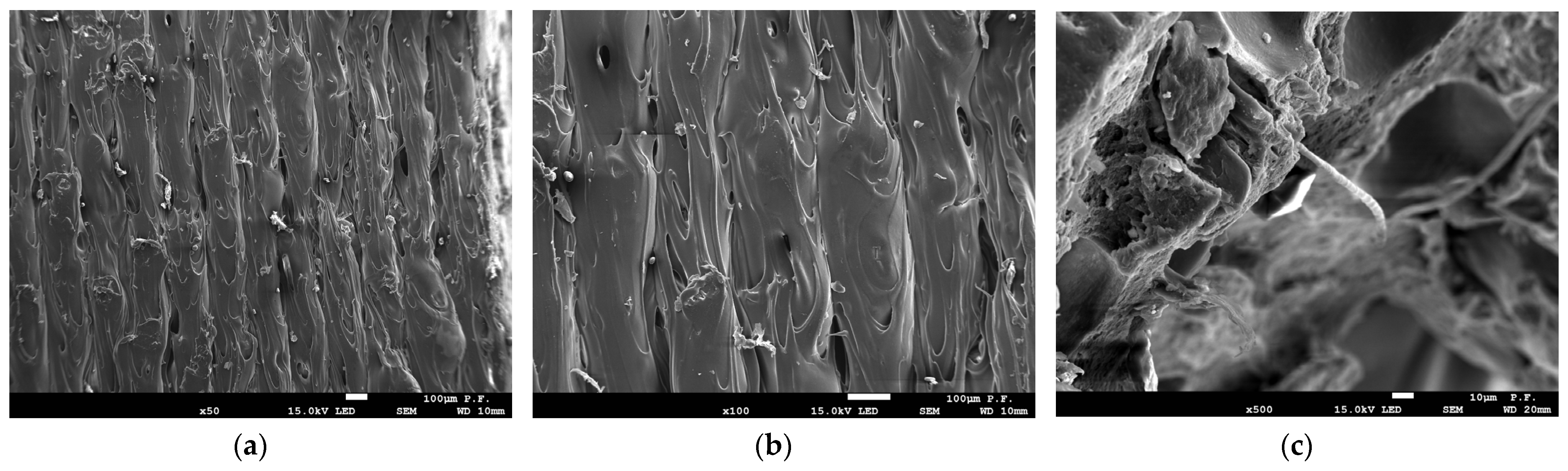 Fibers 11 00077 g012
