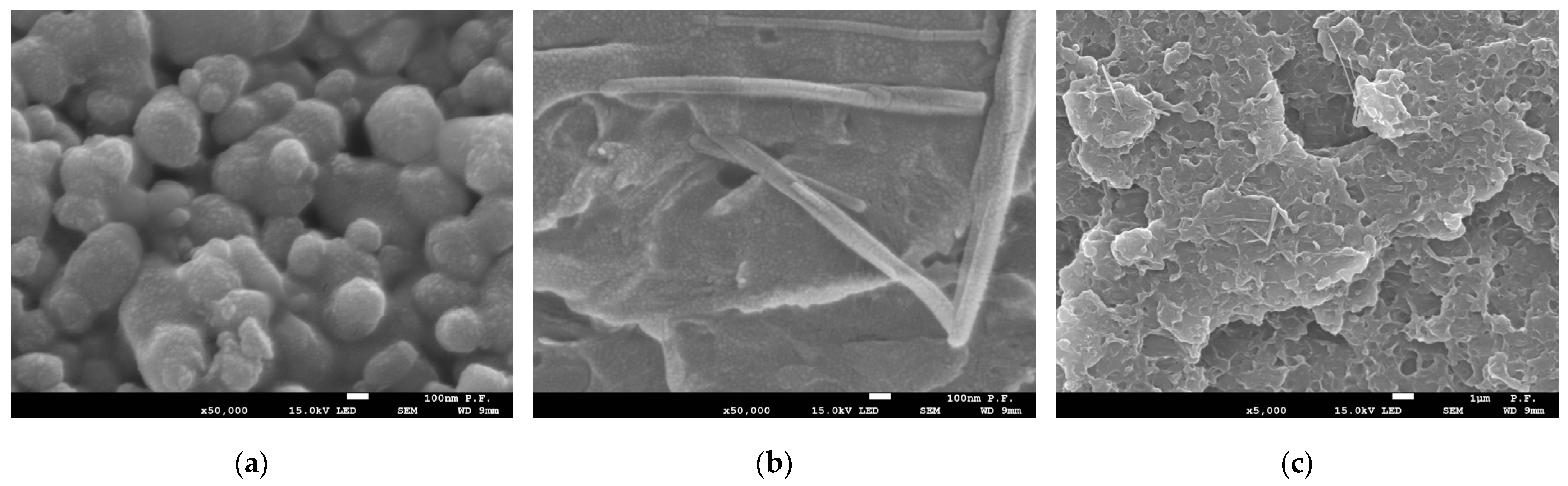 Fibers 11 00077 g013
