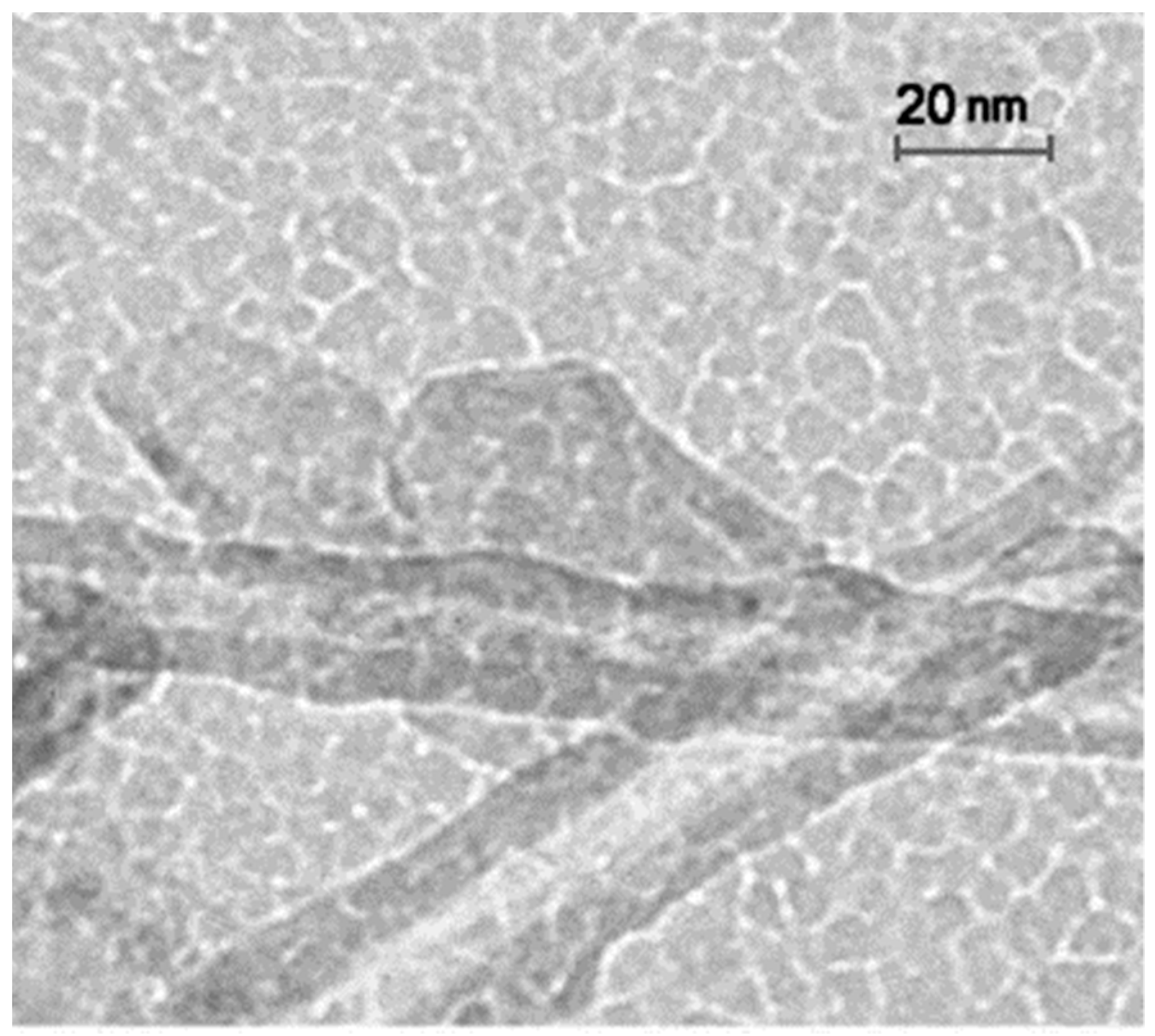 Fibers 11 00080 g005