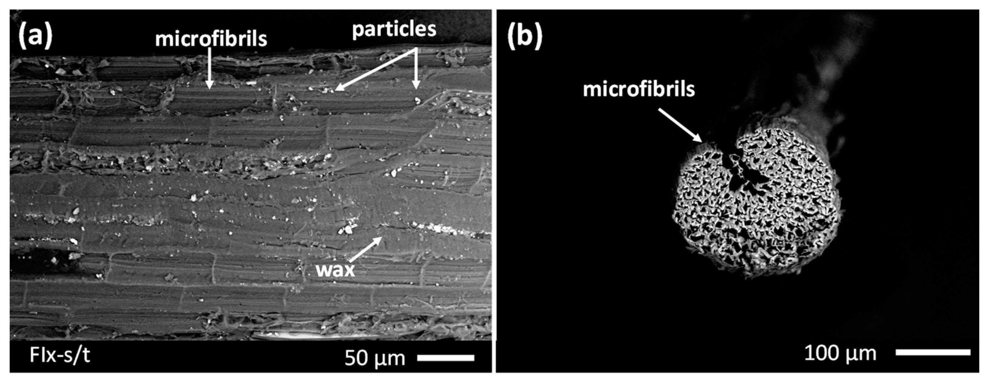 Fibers 11 00086 g001 Fibers 11 00086 g001