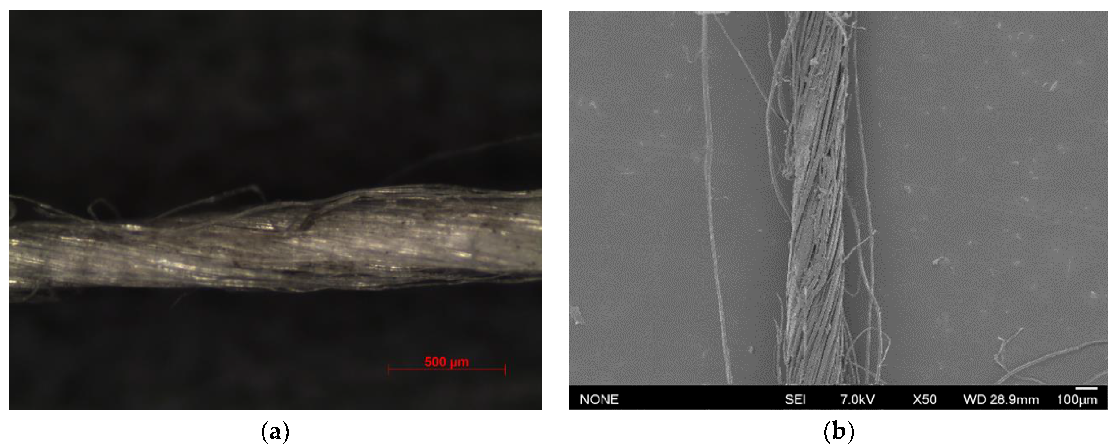 Fibers 11 00088 g002