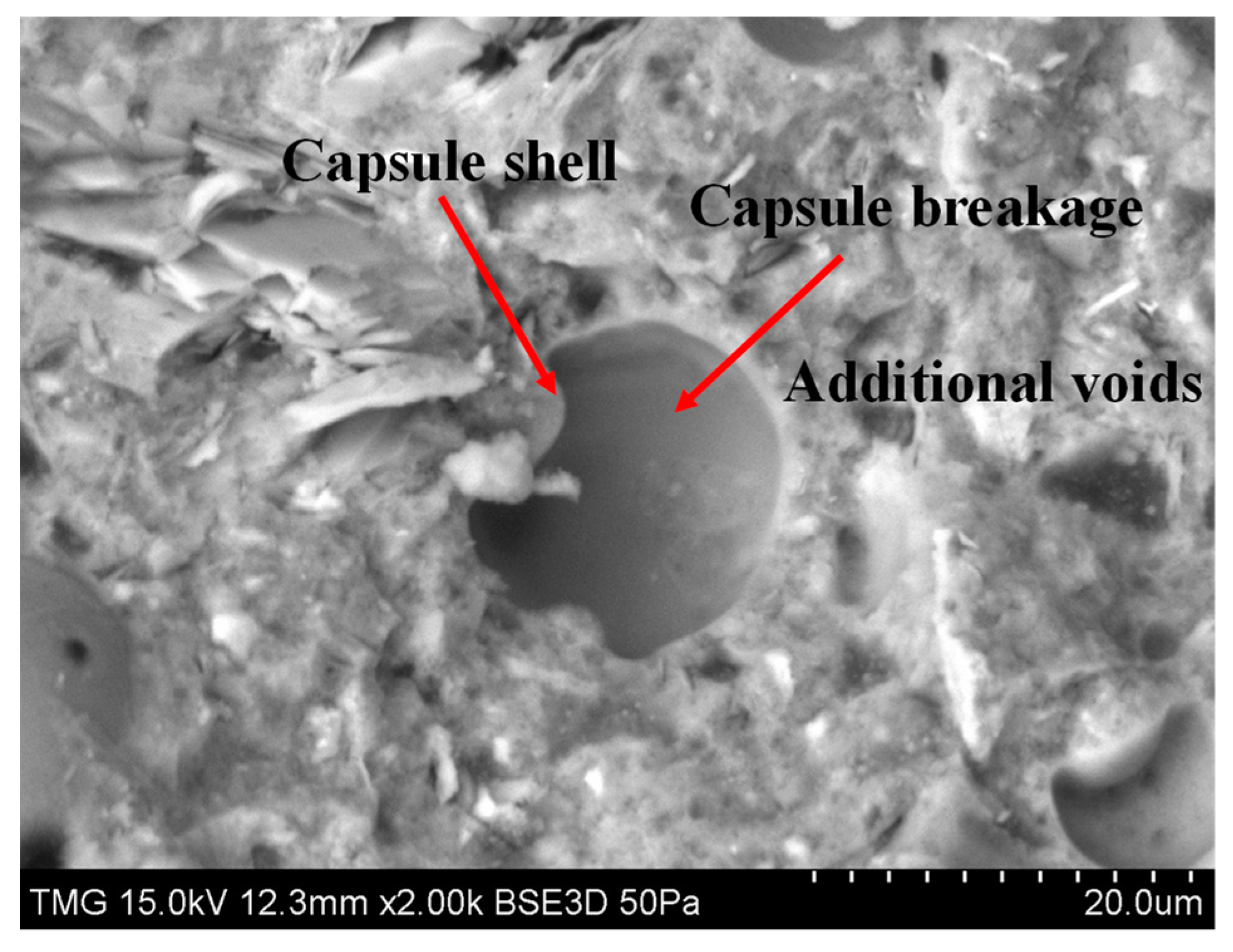 Fibers 11 00094 g008