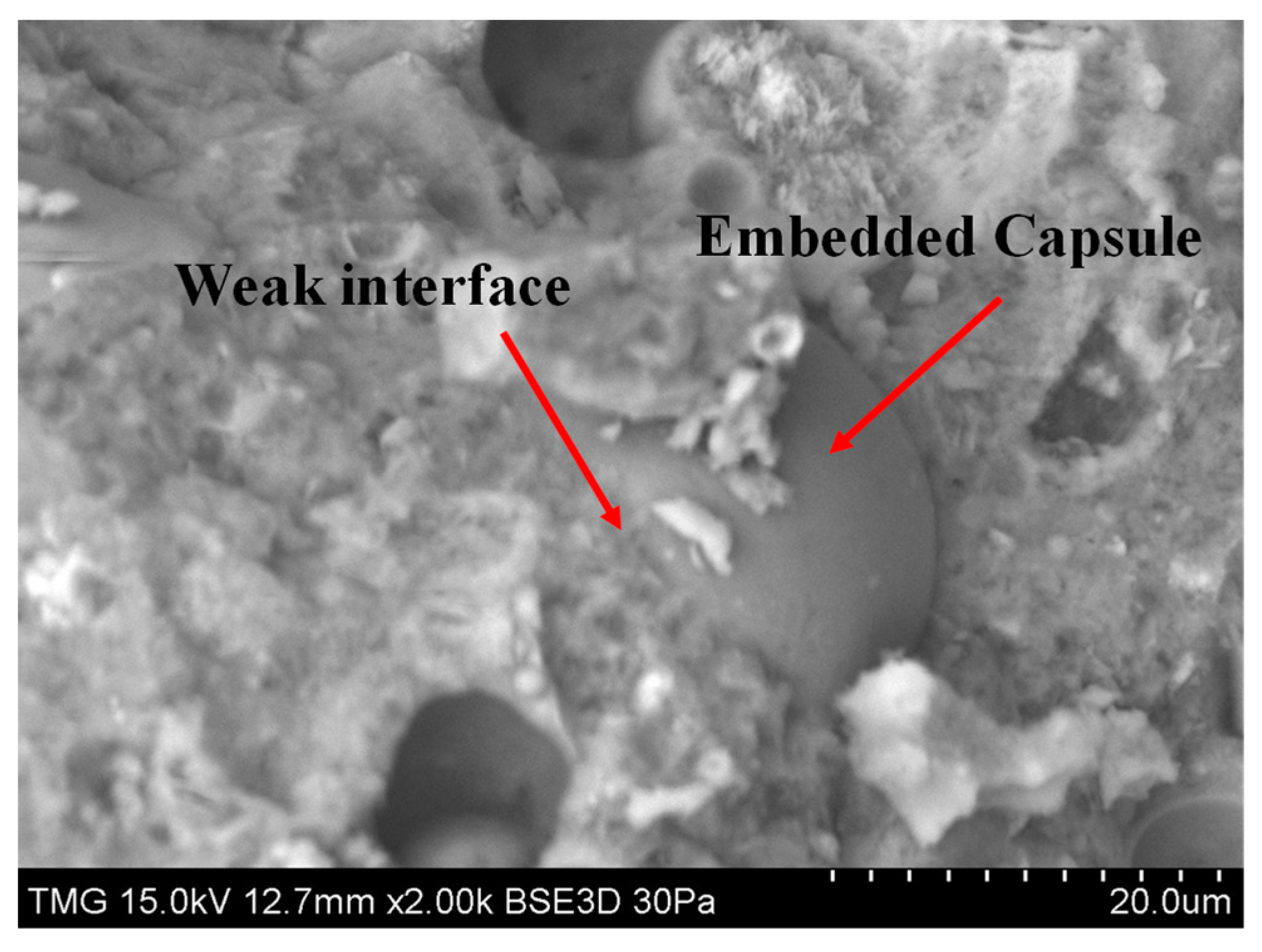 Fibers 11 00094 g009