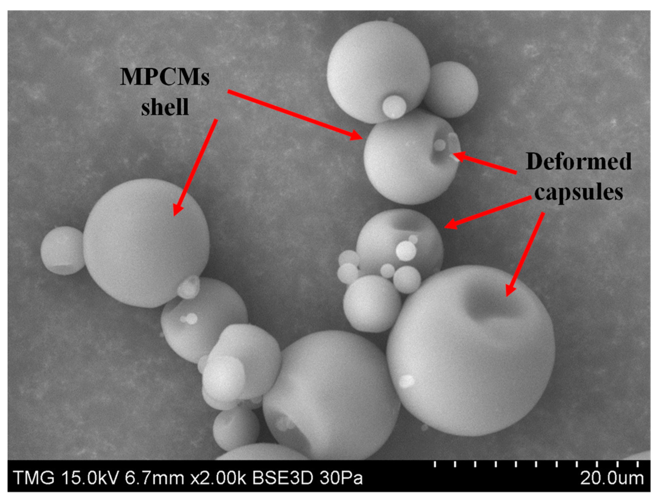 Fibers 11 00094 g013