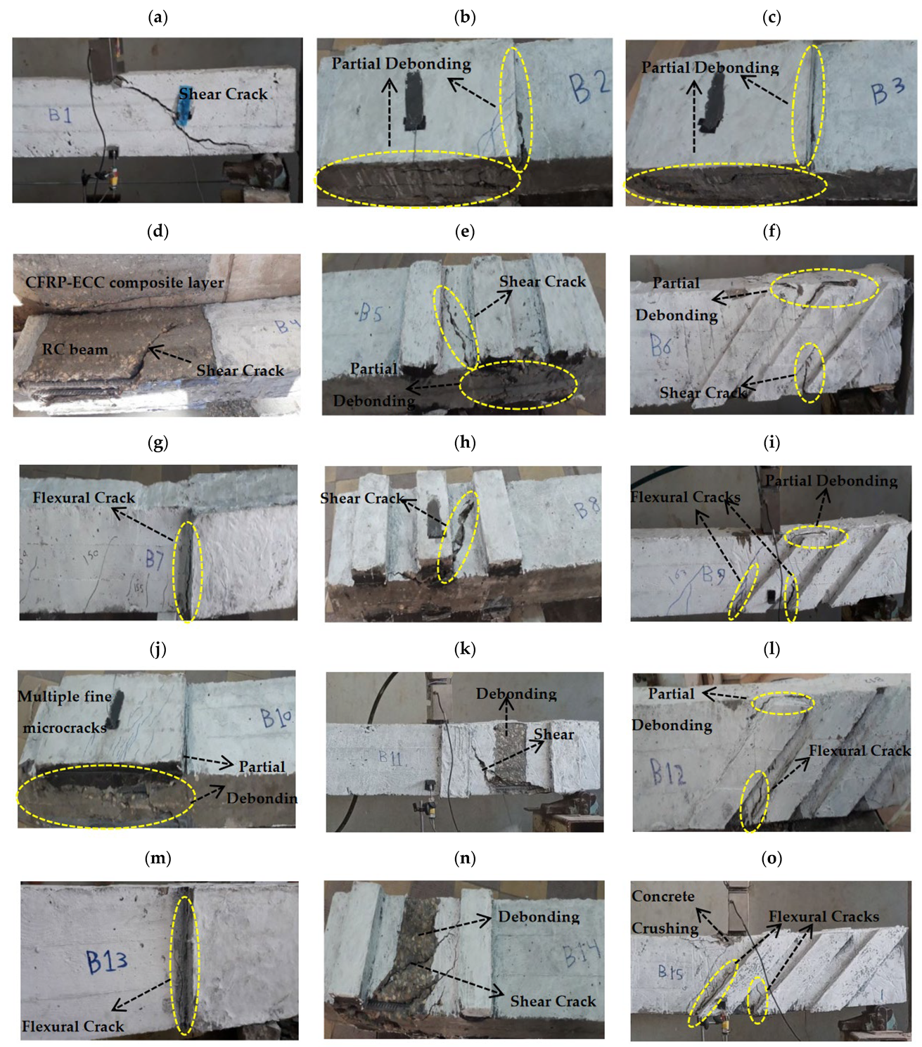 Fibers 11 00098 g005