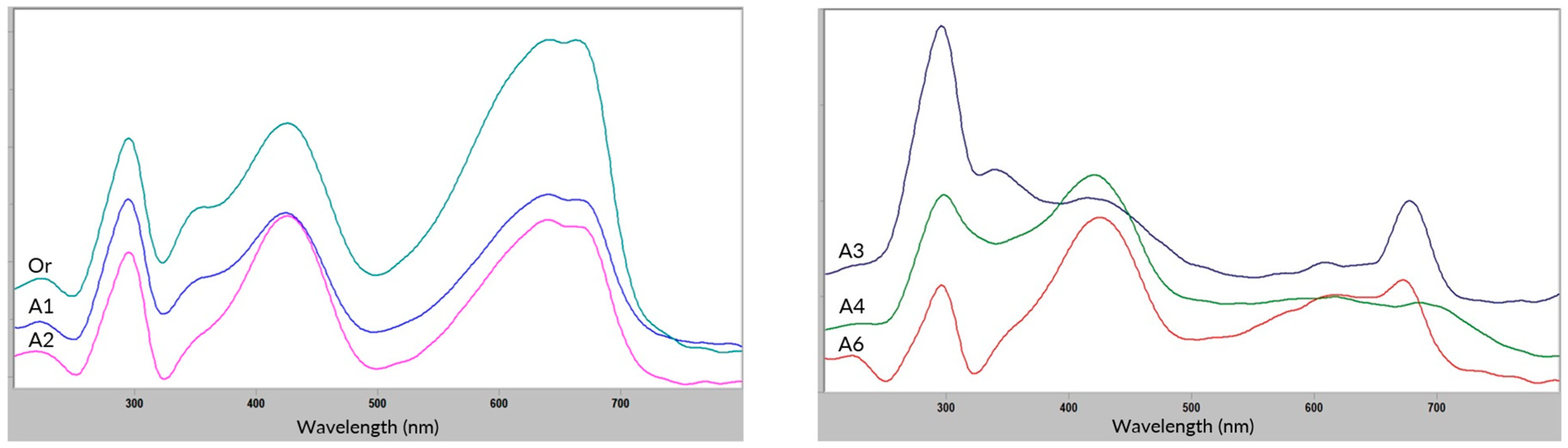 Fibers 11 00100 g003