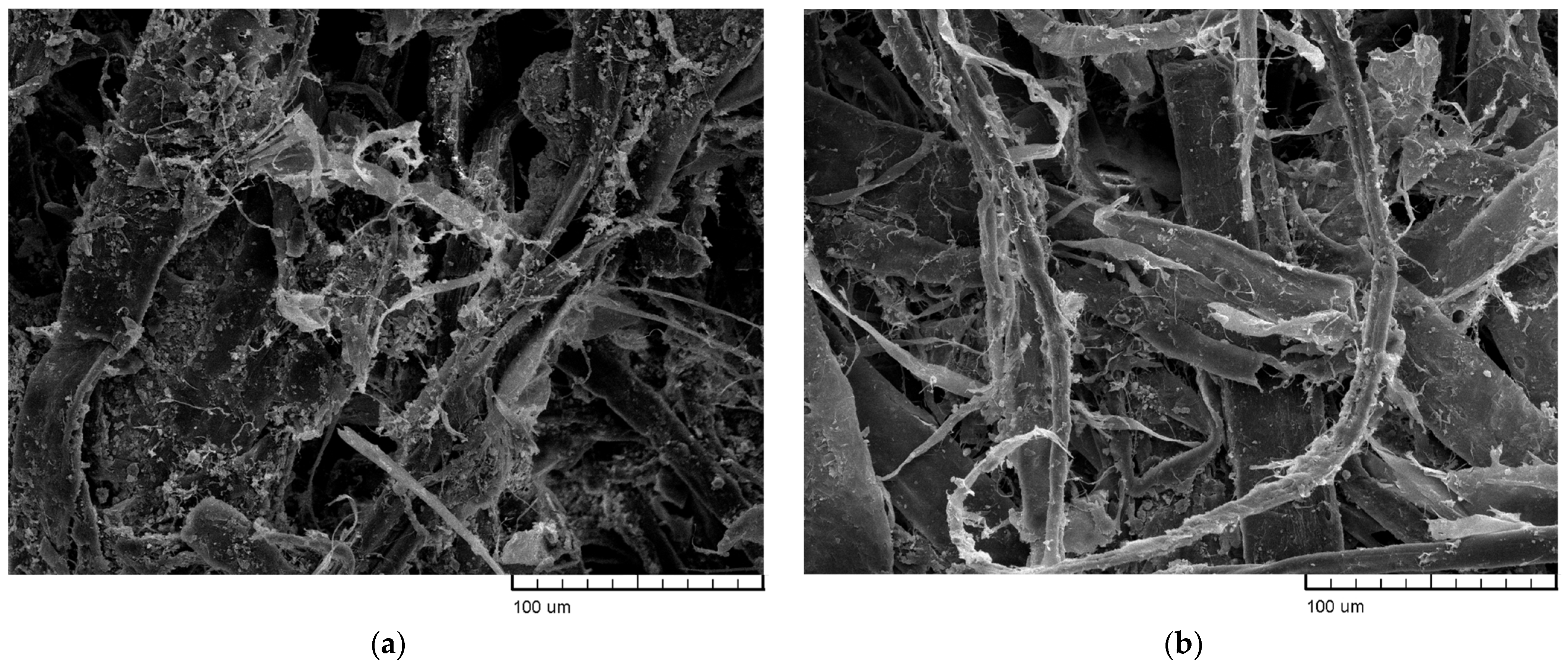 Fibers 11 00101 g002a Fibers 11 00101 g002a