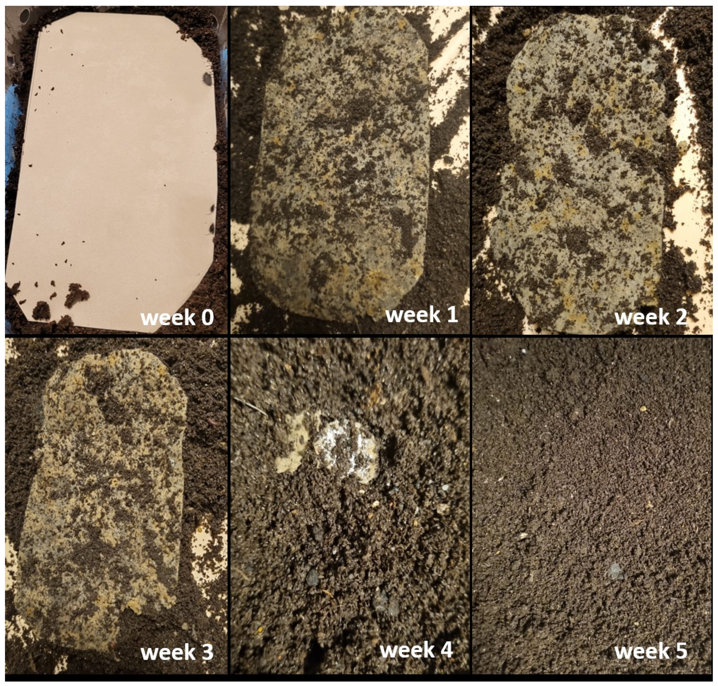 Fibers 11 00101 g011 Fibers 11 00101 g011