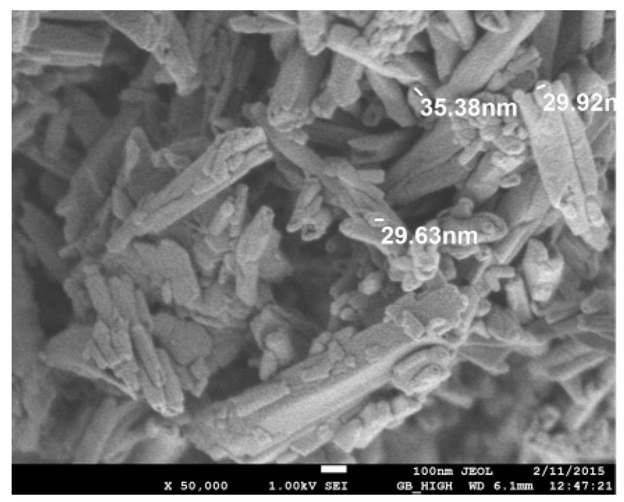 Fibers 11 00102 g002