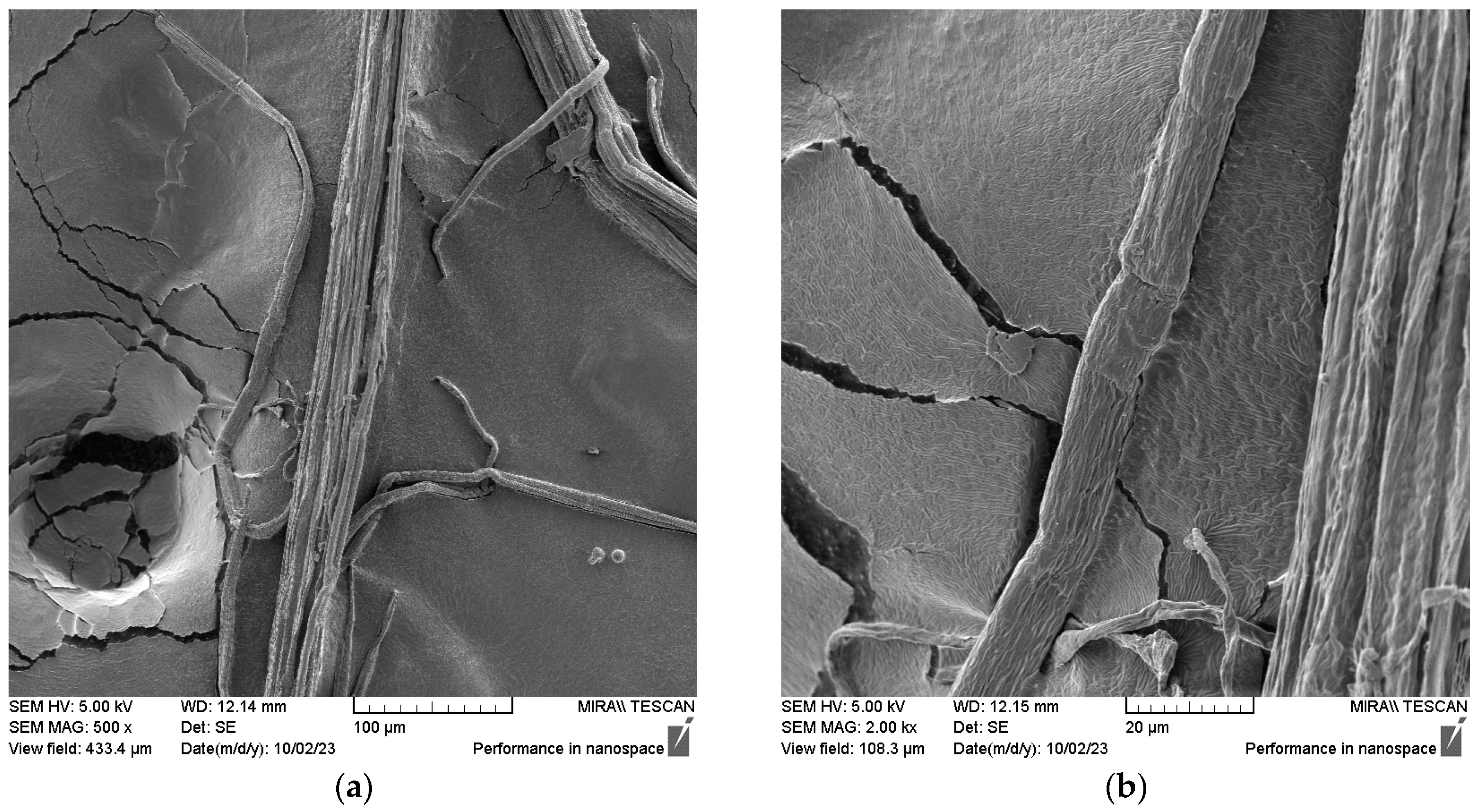 Fibers 11 00108 g008