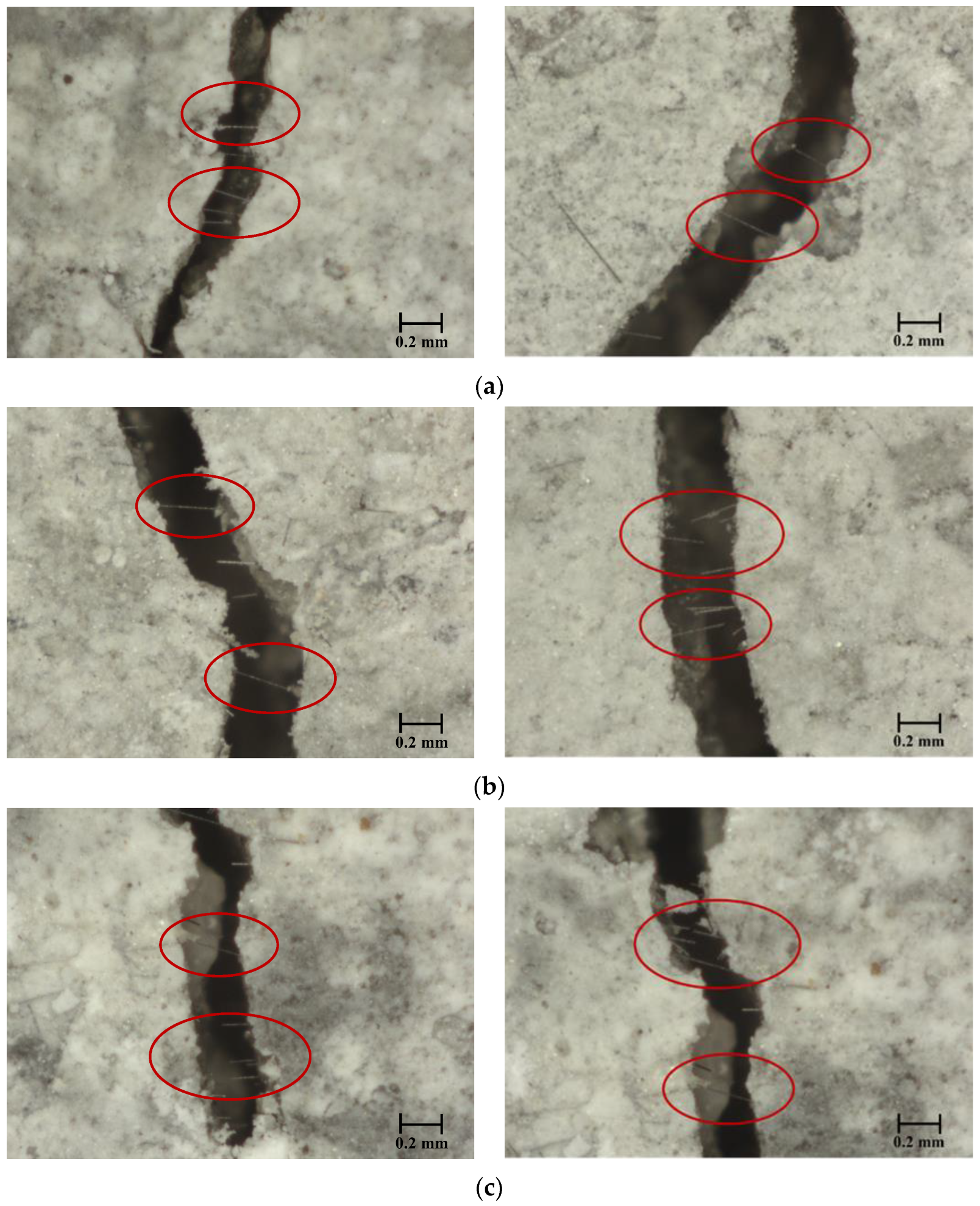 Fibers 11 00109 g011