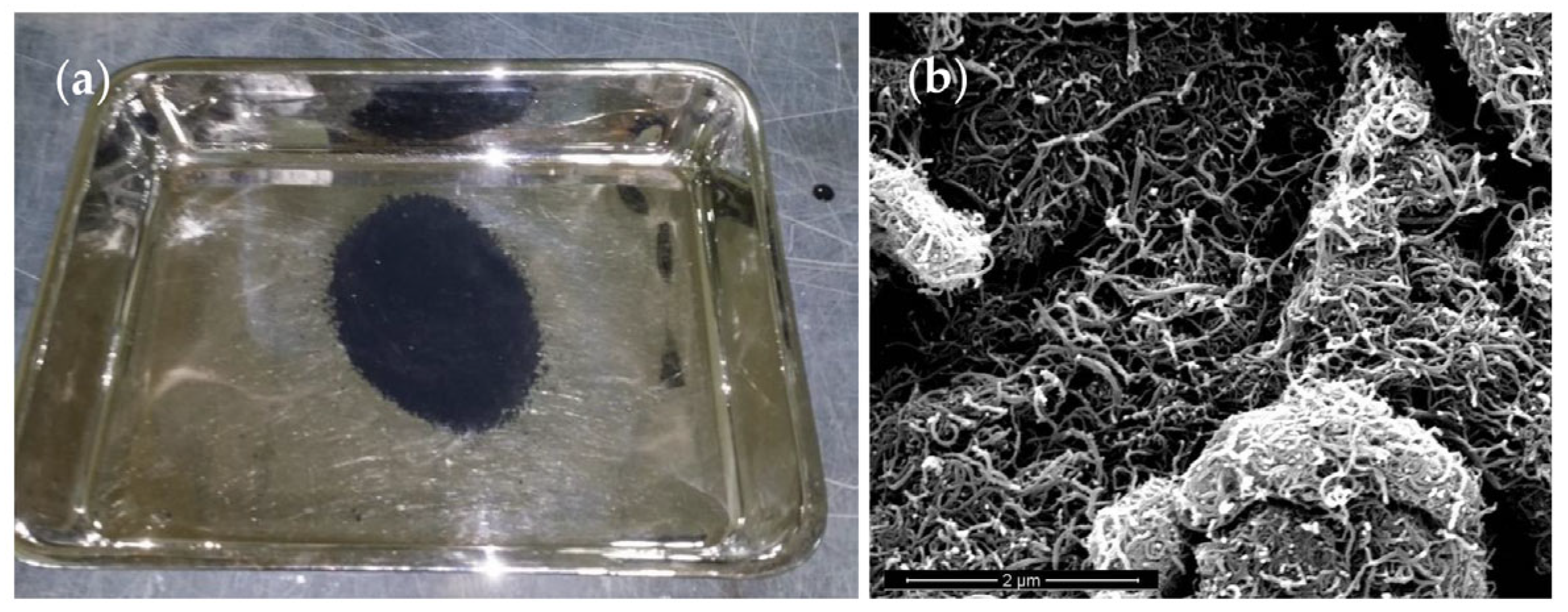 Fibers 12 00001 g001