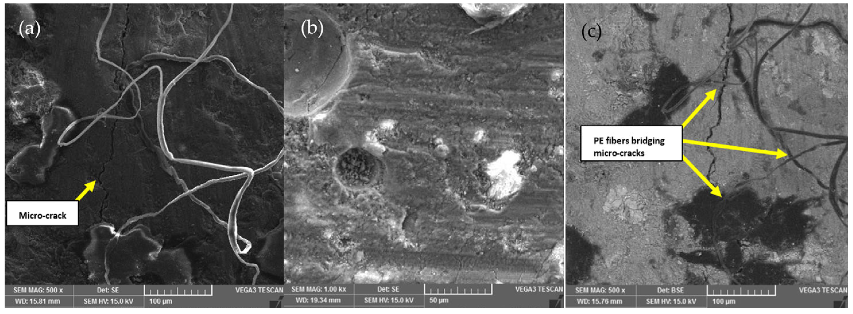 Fibers 12 00001 g014