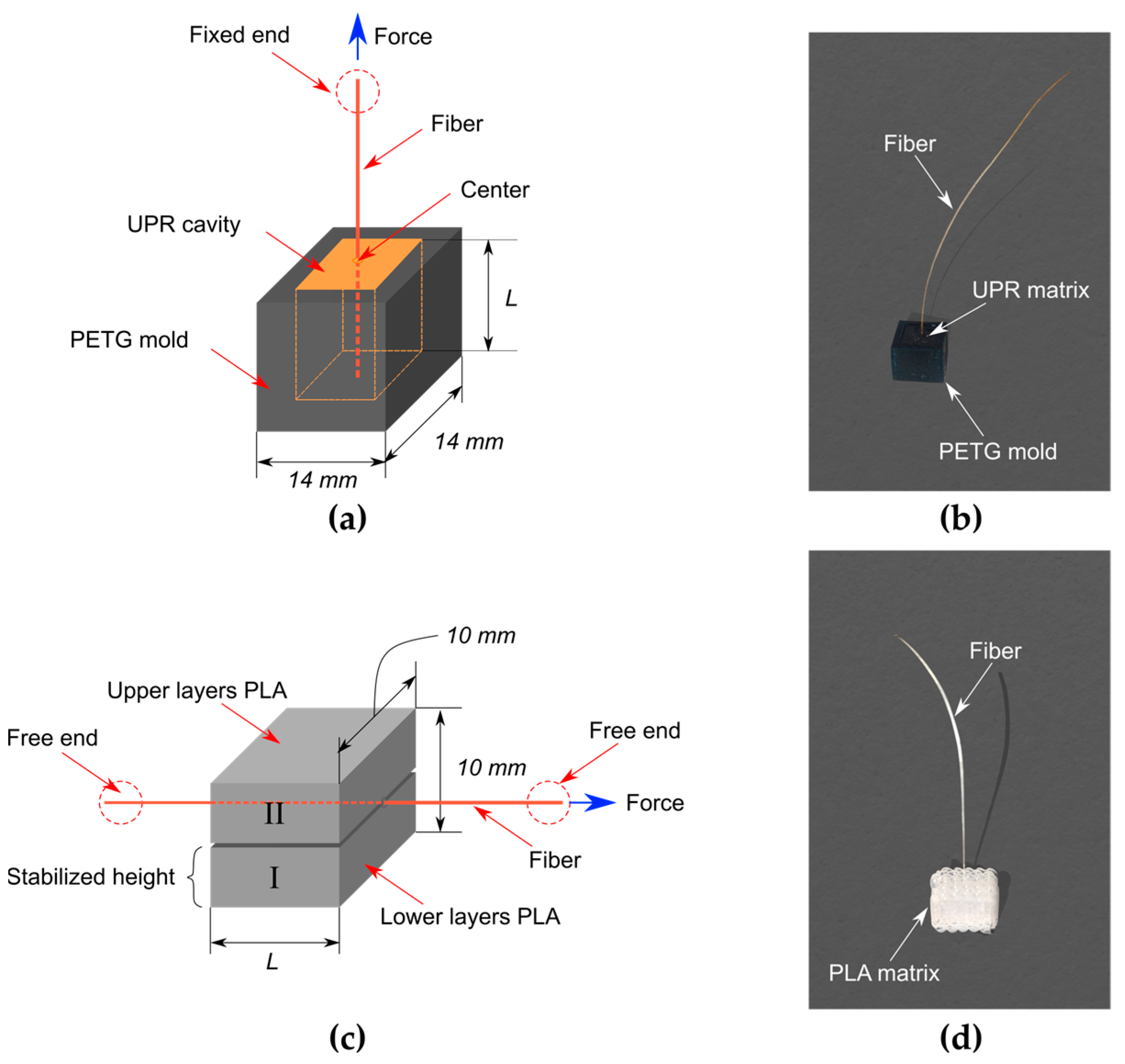 Fibers 12 00006 g002