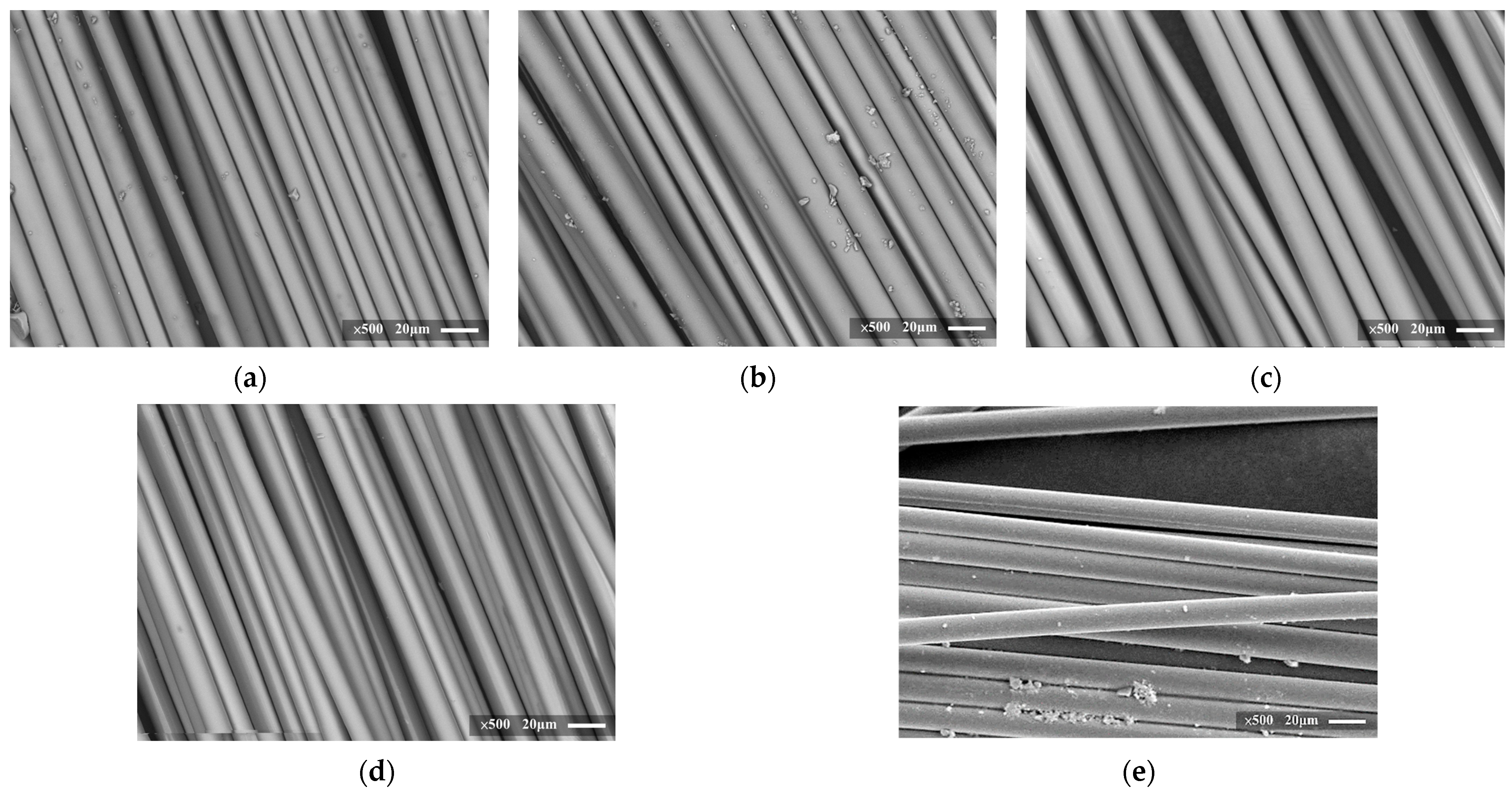 Fibers 12 00010 g006