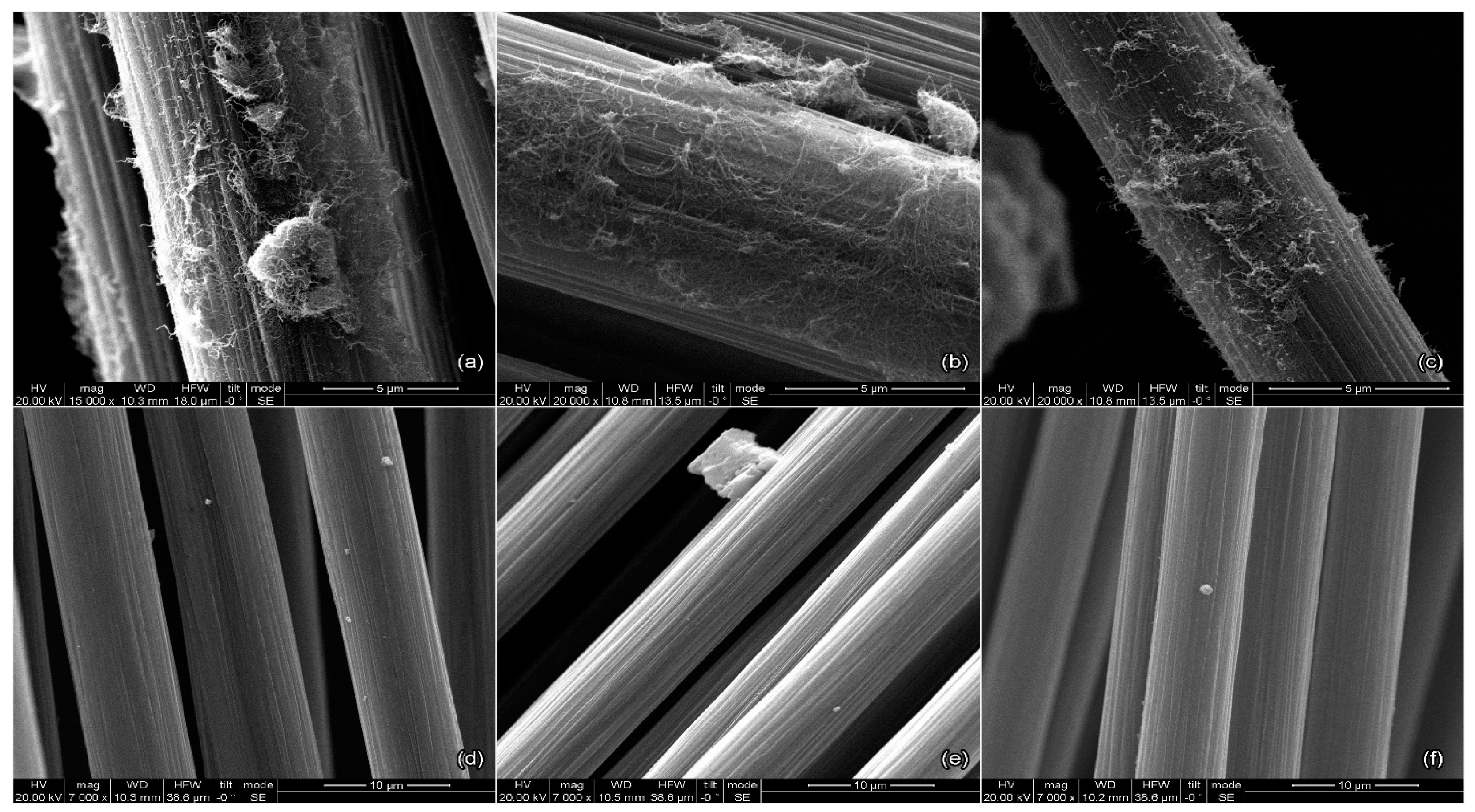 Fibers 12 00016 g008