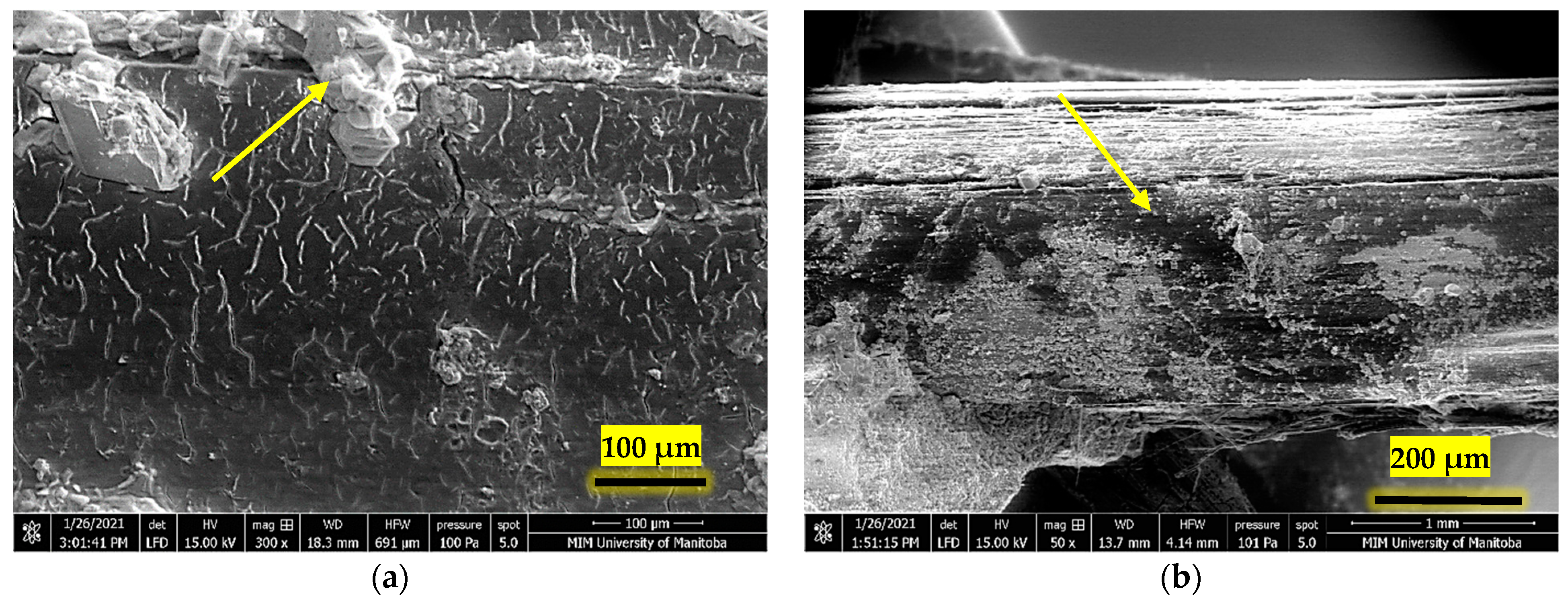 Fibers 12 00017 g011