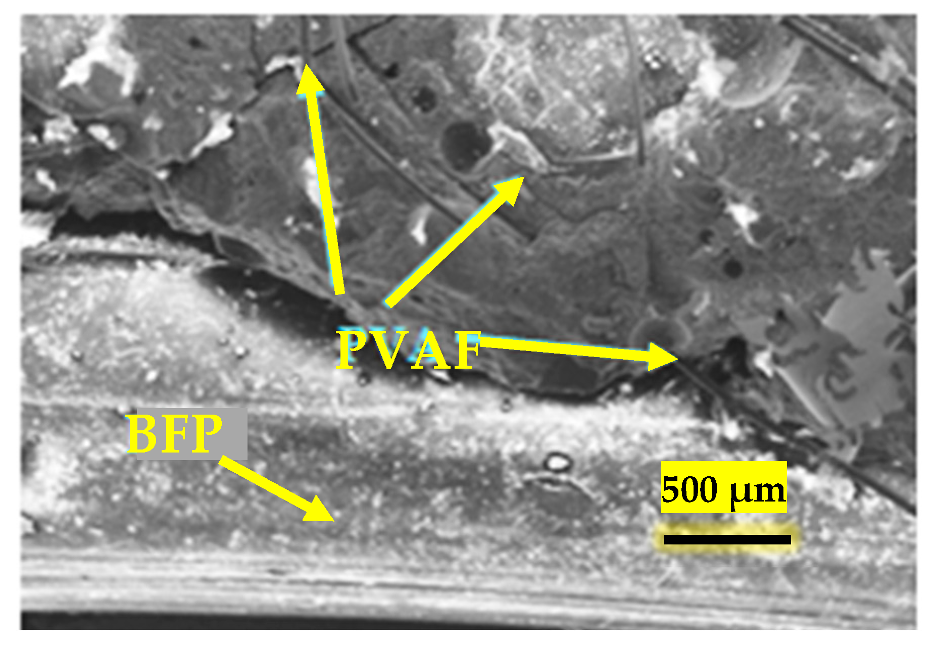 Fibers 12 00017 g021