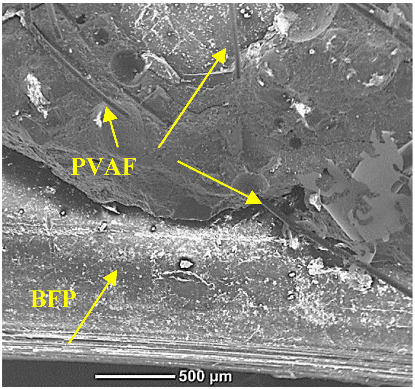 Fibers 12 00017 g023