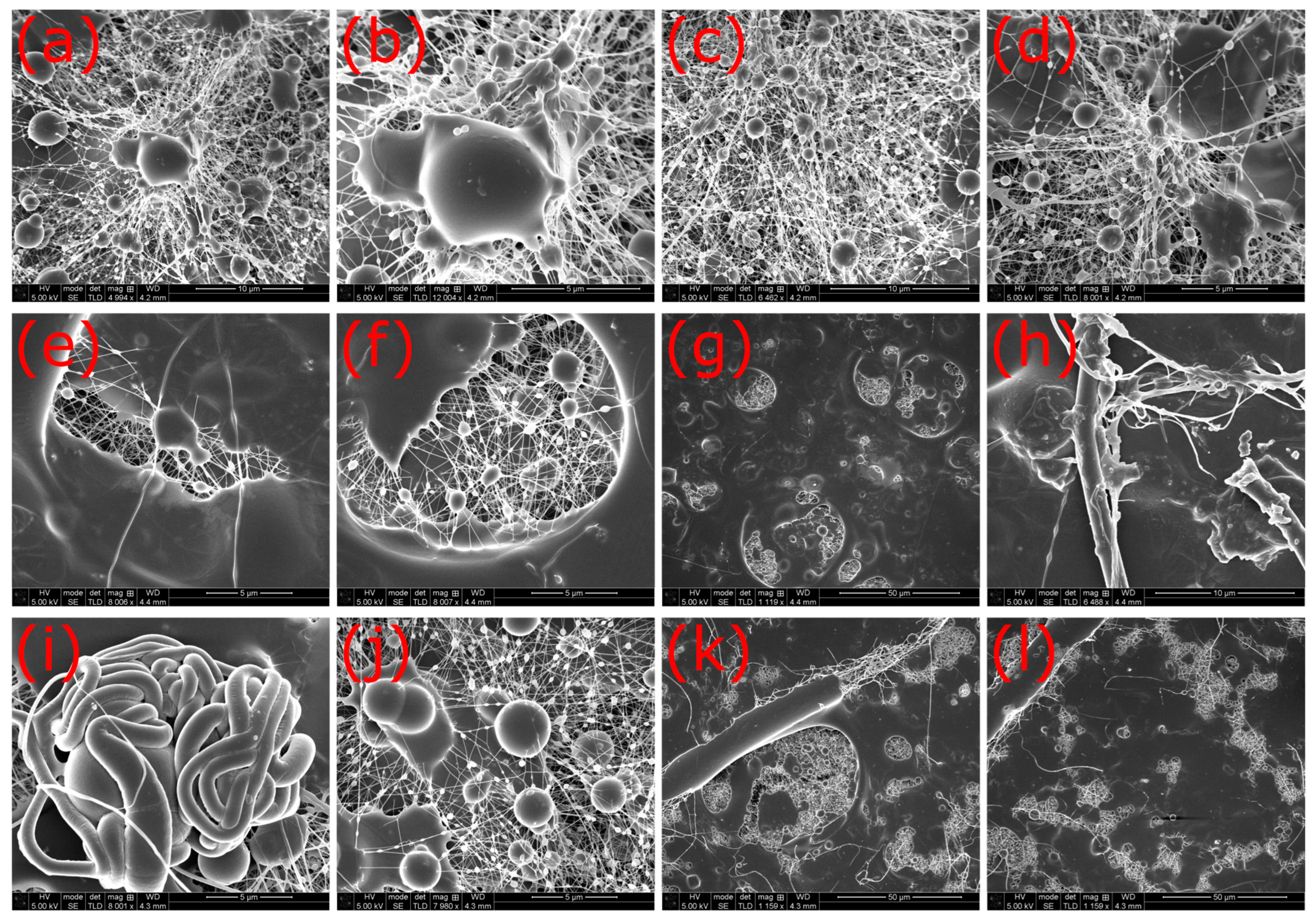 Fibers 12 00019 g0a1