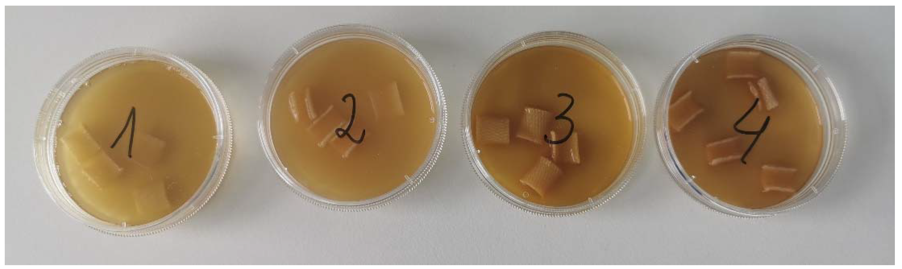 Fibers 12 00020 g002